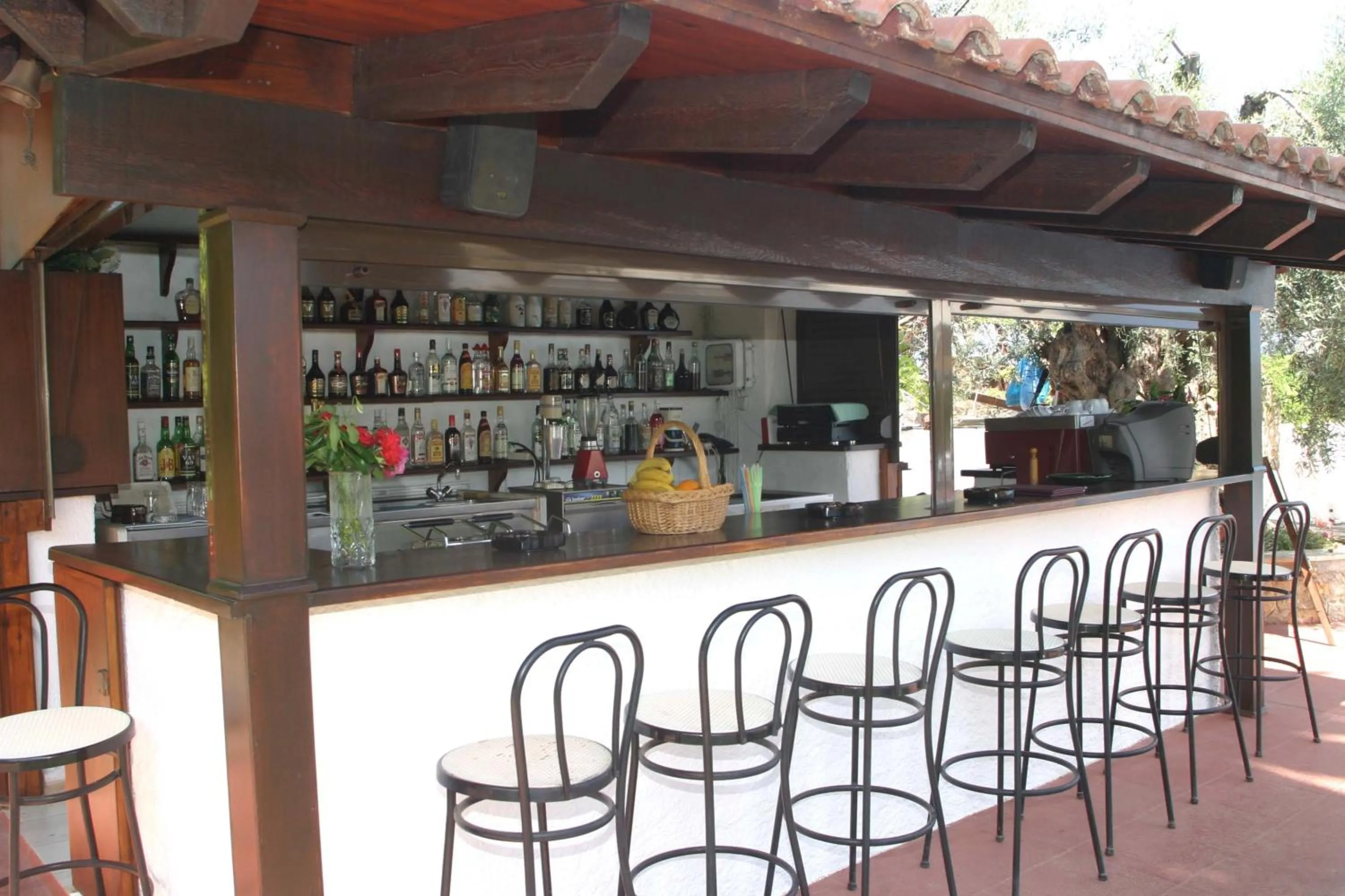 Lounge or bar in Oasis Guesthouse