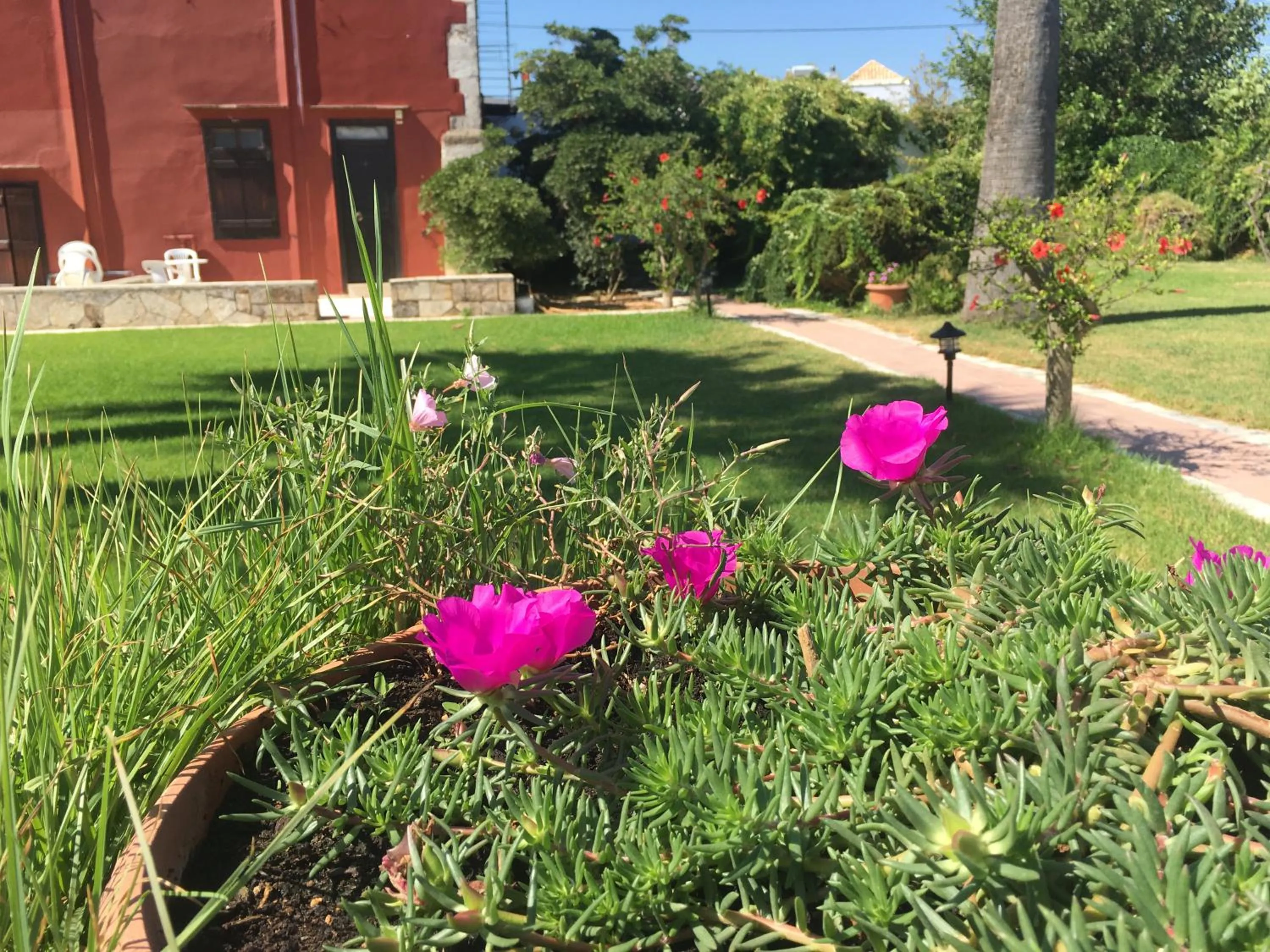 Garden in Oasis Guesthouse