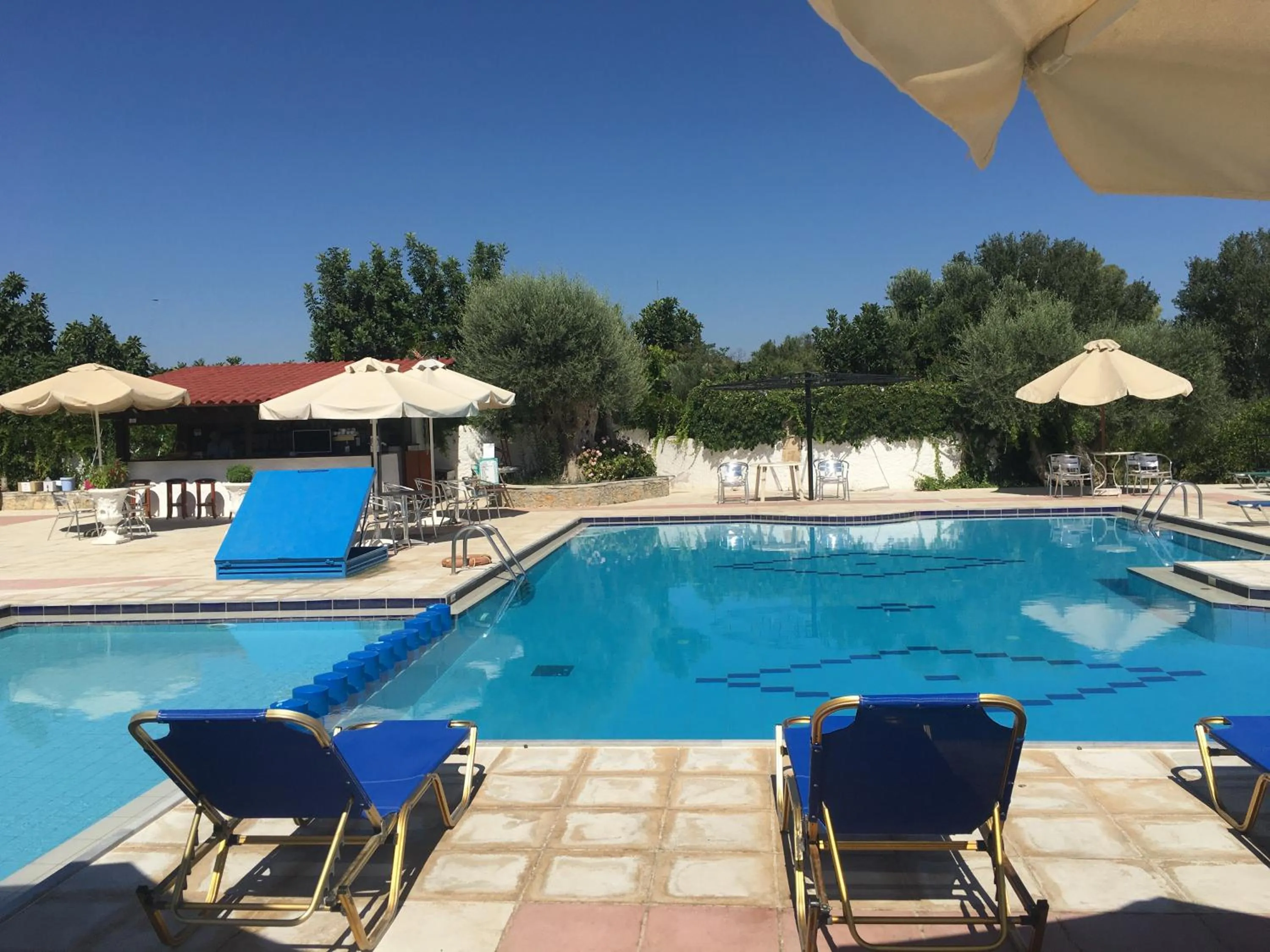 Swimming pool in Oasis Guesthouse
