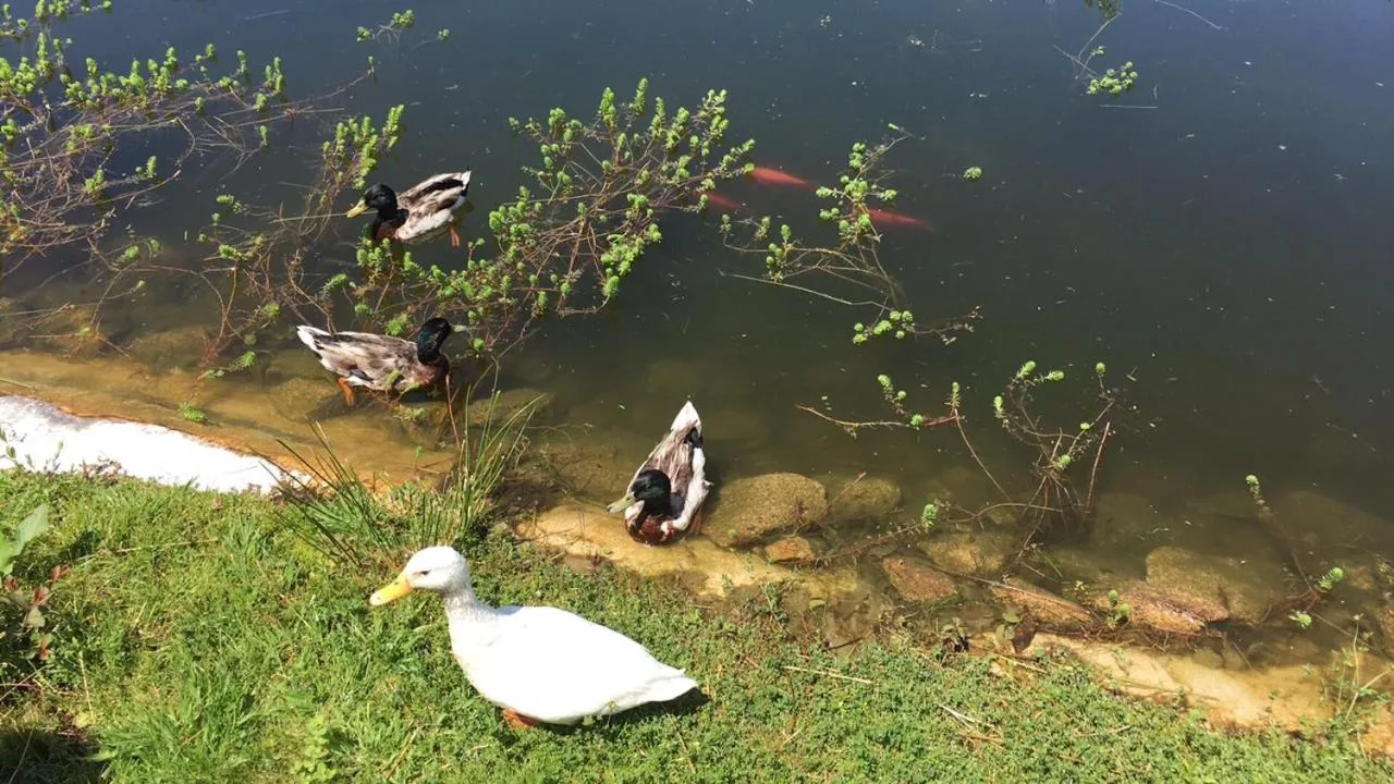 Quinta das Mineirinhas