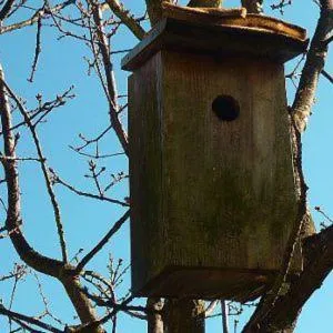 Day in Quinta das Mineirinhas