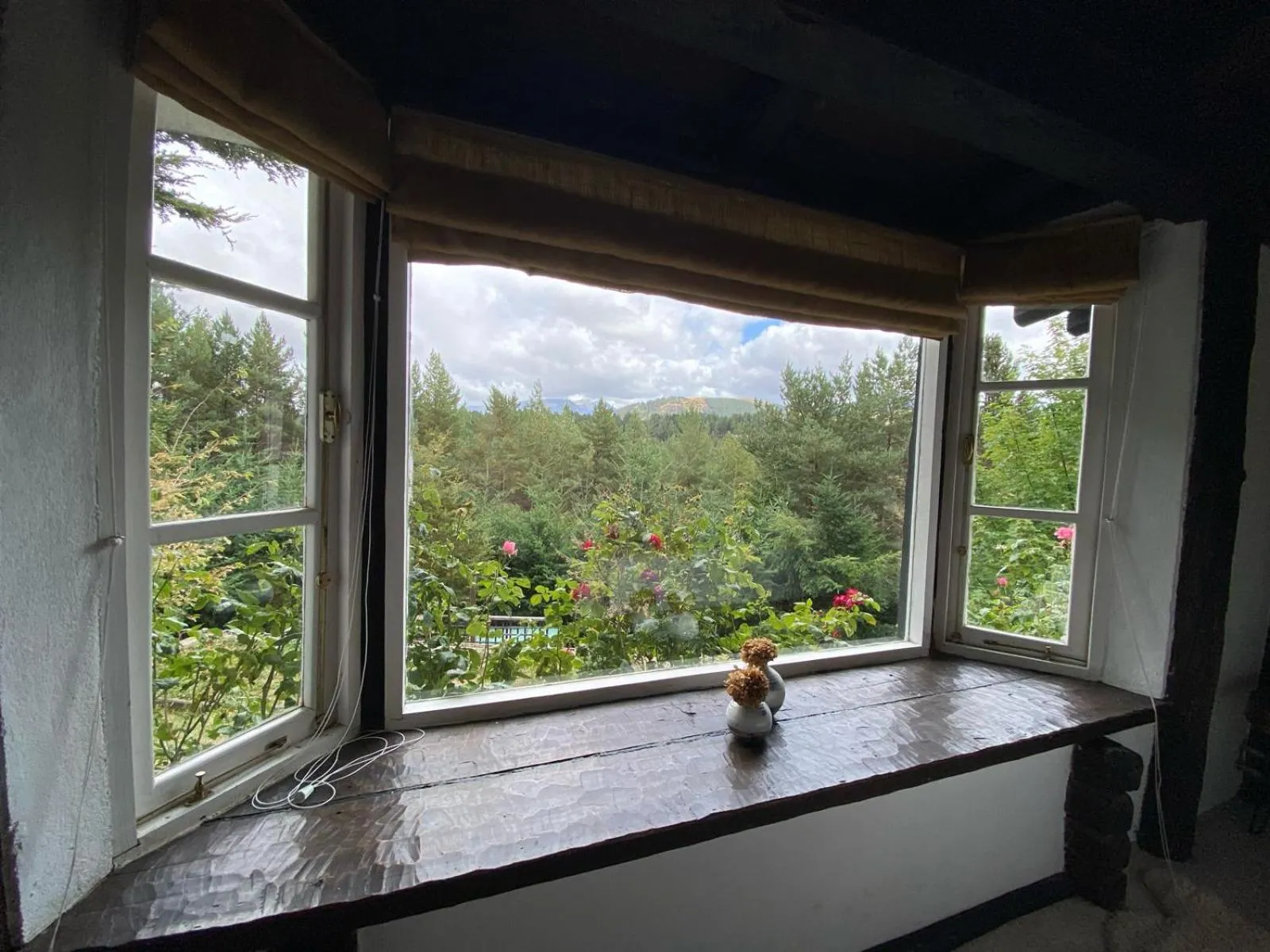 Garden view in The Patagonian Lodge