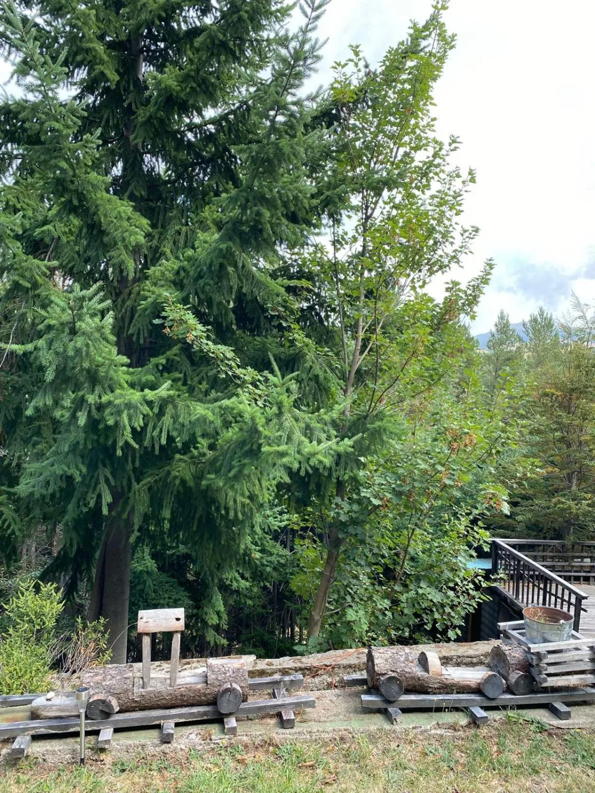 Day in The Patagonian Lodge