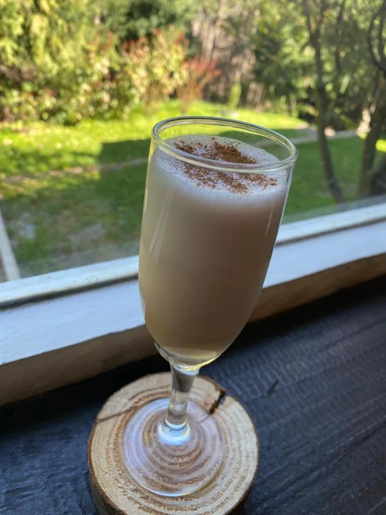 Day in The Patagonian Lodge