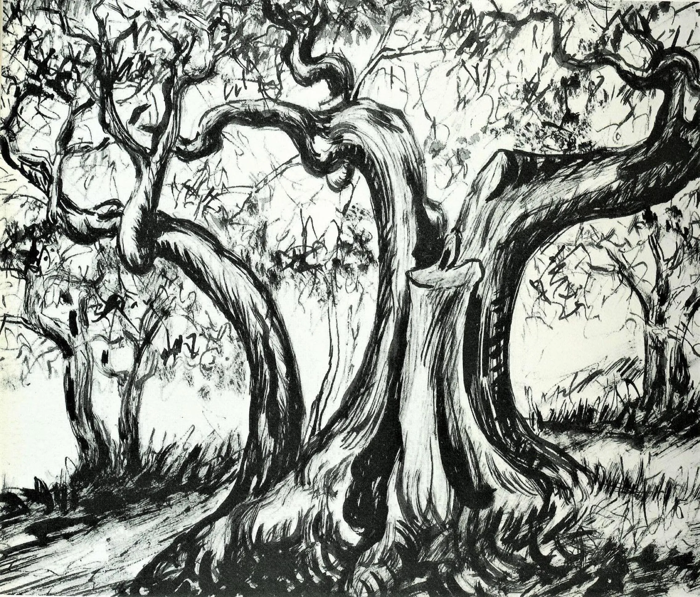 B&B Baronia Luxury Rooms