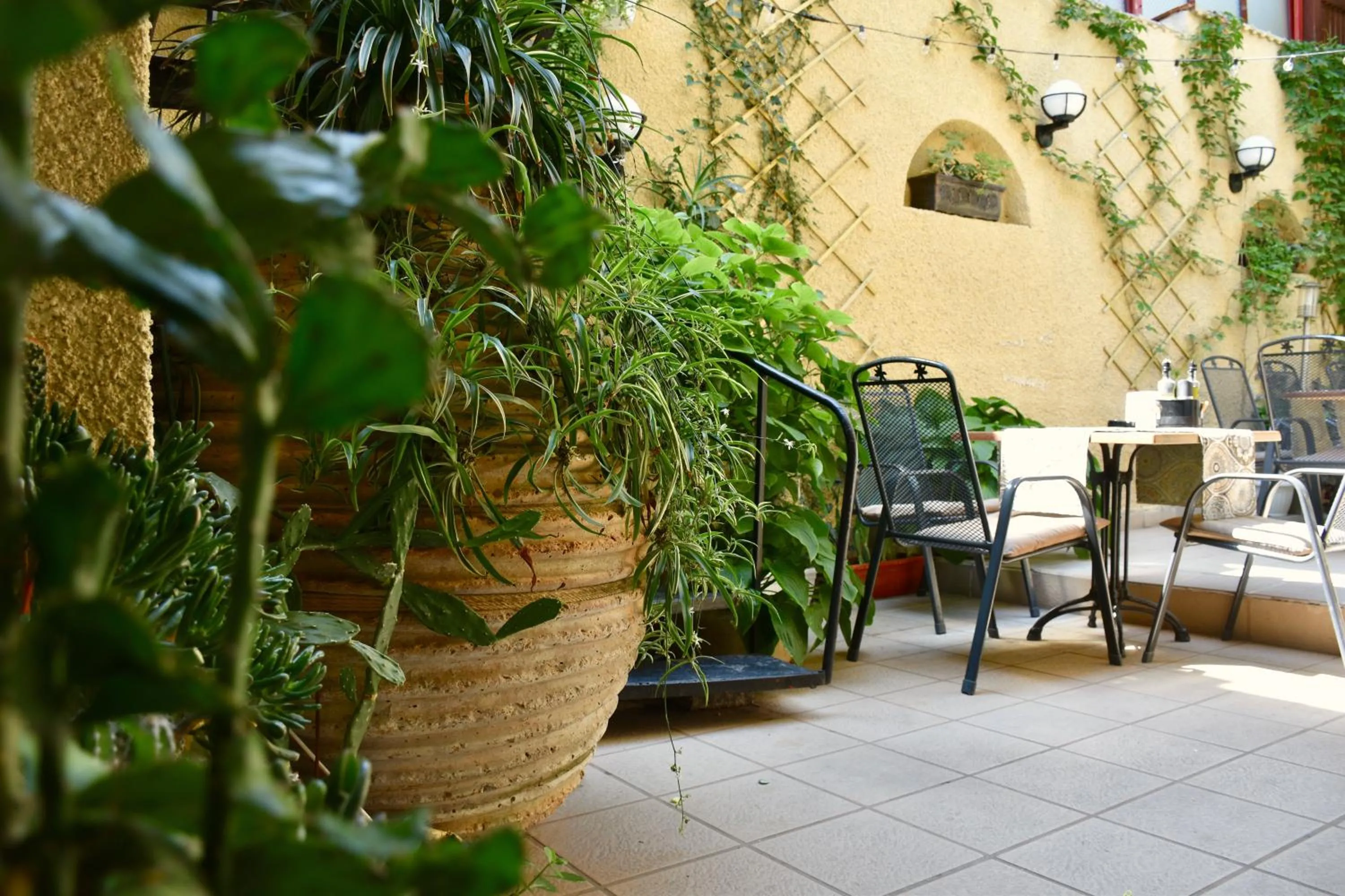 Family Hotel Apolonia