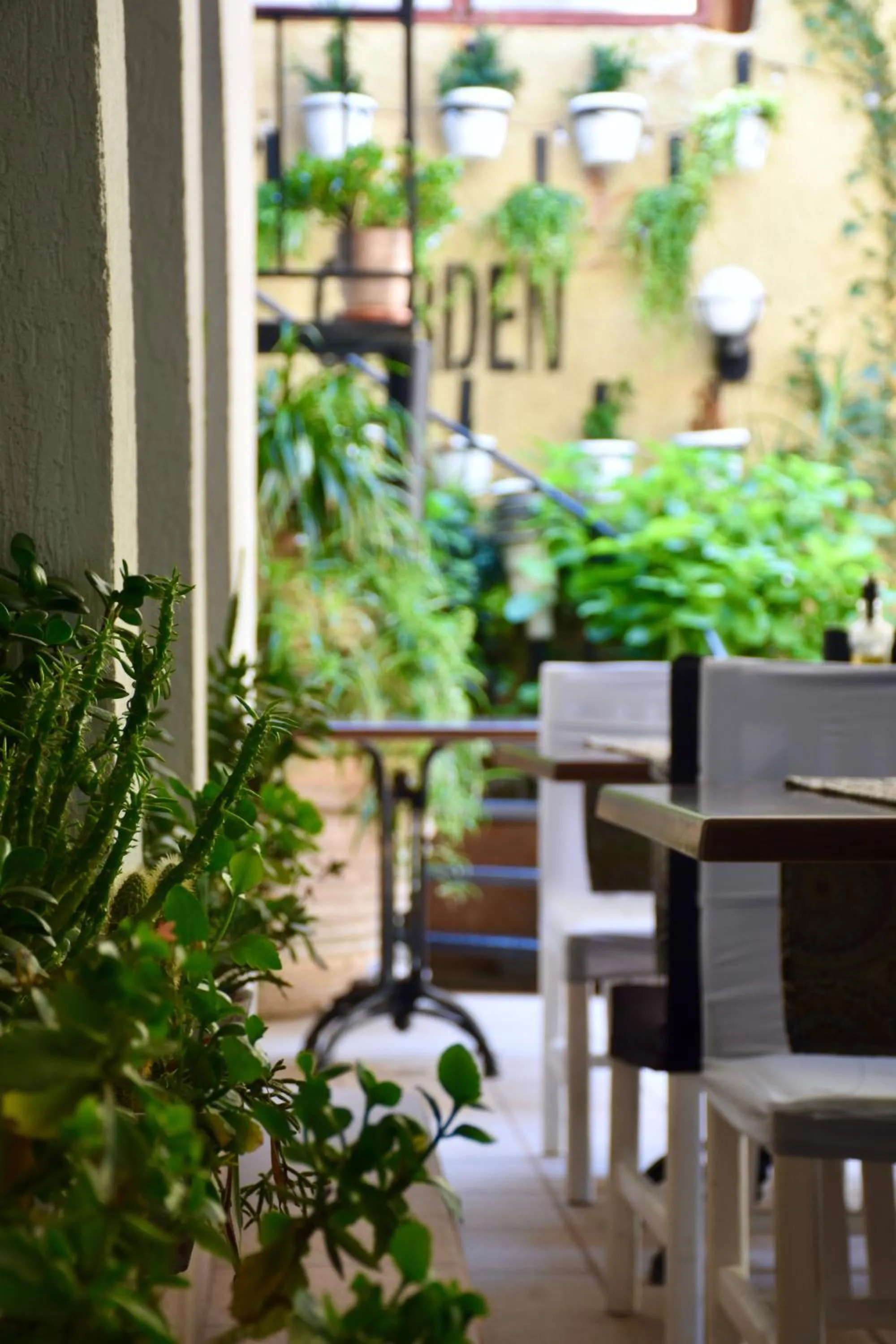 Family Hotel Apolonia
