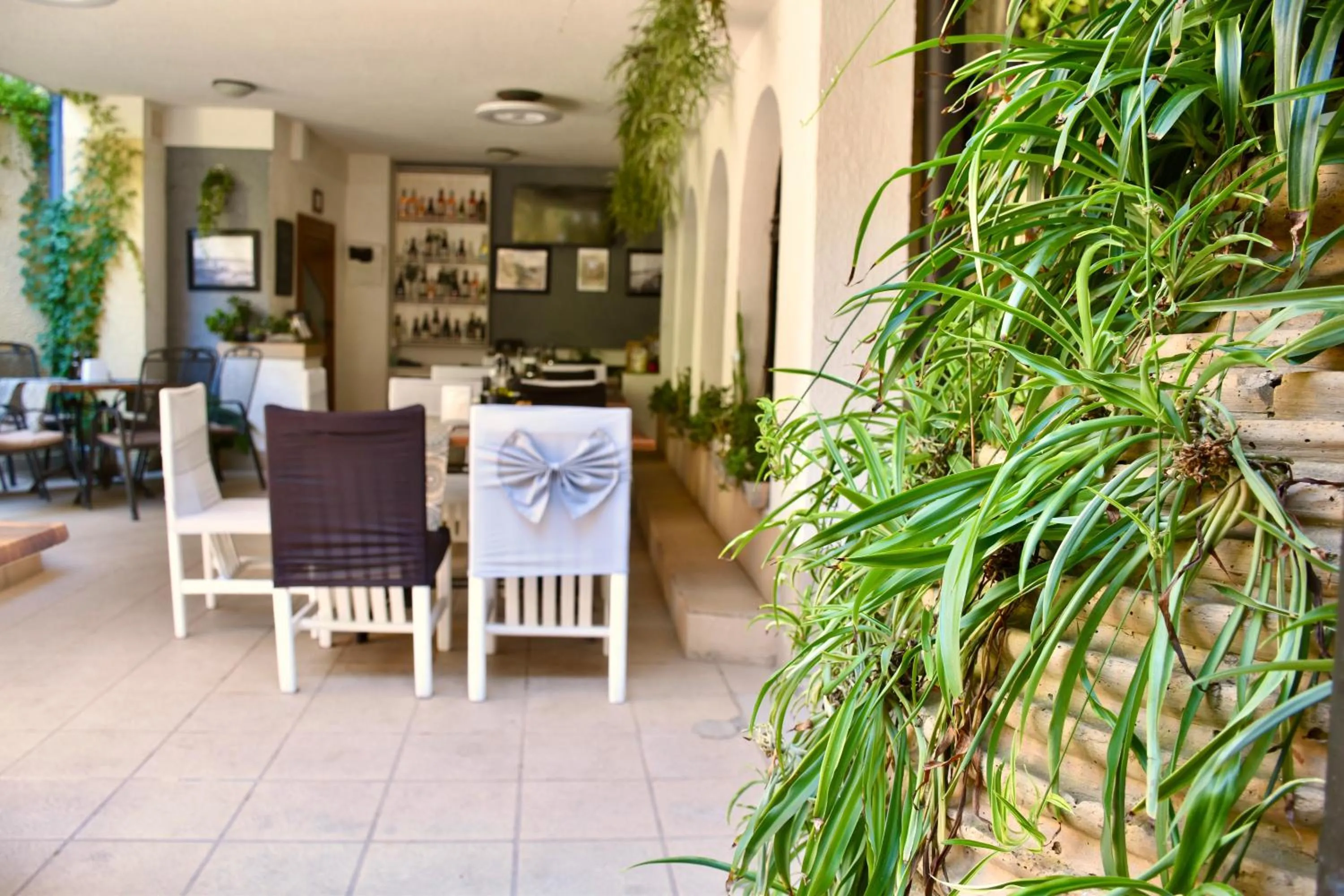 Family Hotel Apolonia