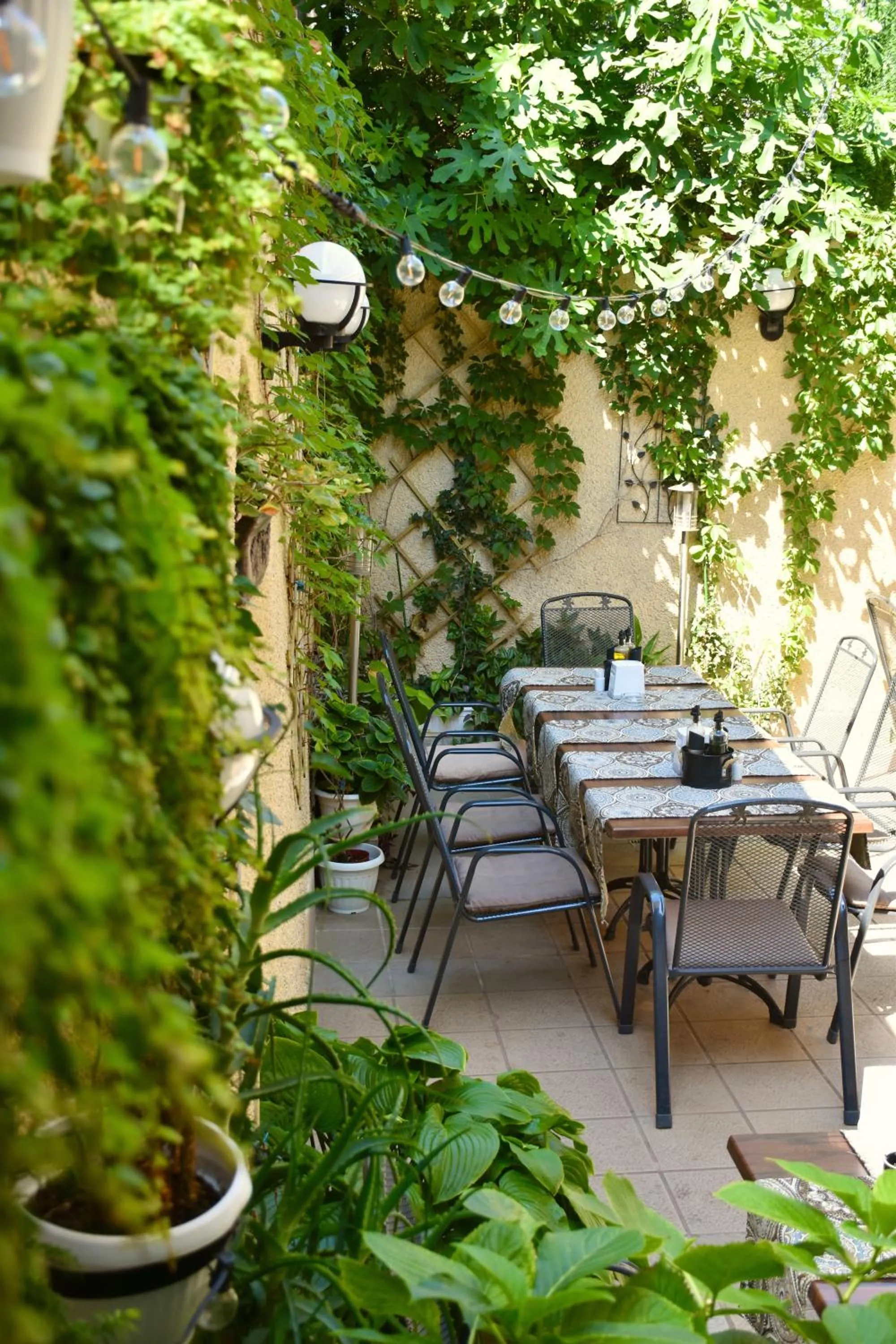 Family Hotel Apolonia