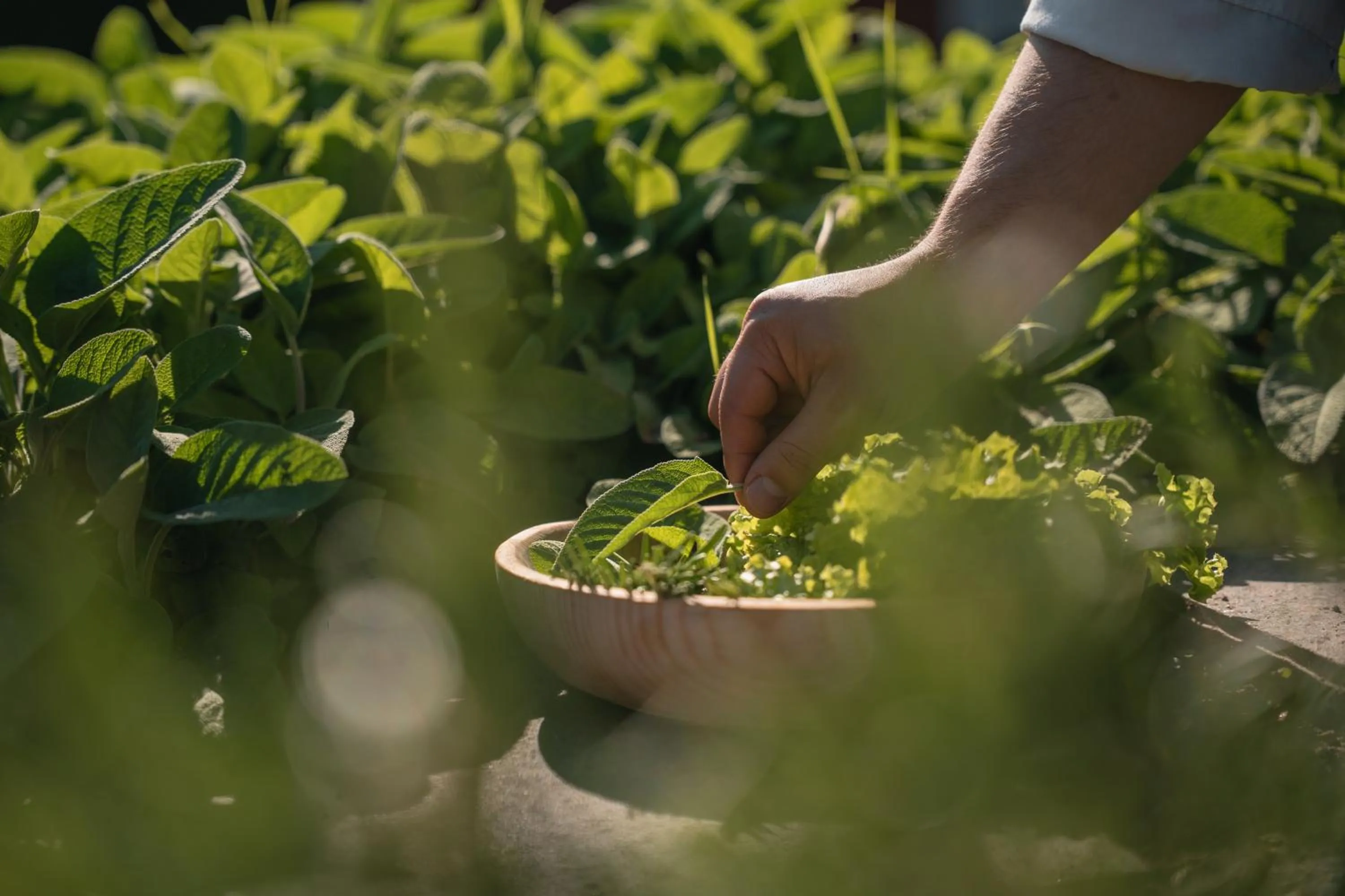 Restaurant/places to eat in Panoramahotel Huberhof