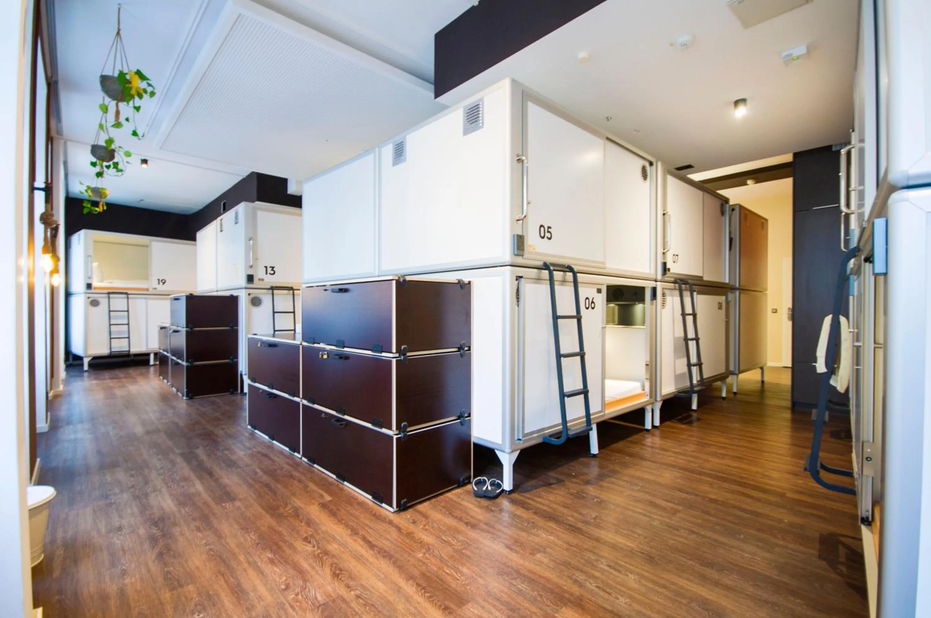 Photo of the whole room in Five Elements Hostel & Capsules Leipzig