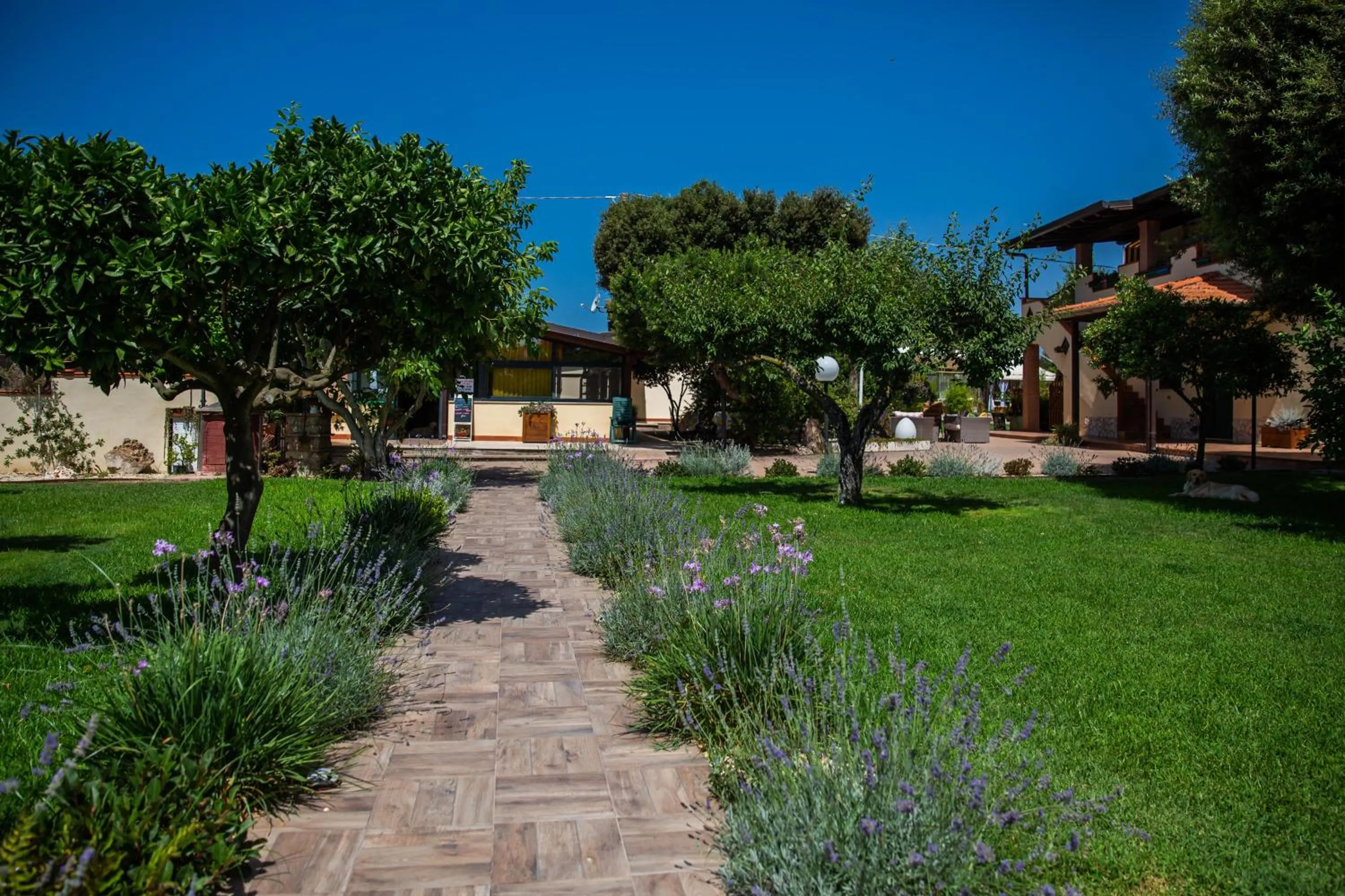 Garden in I Lecci Guesthouse