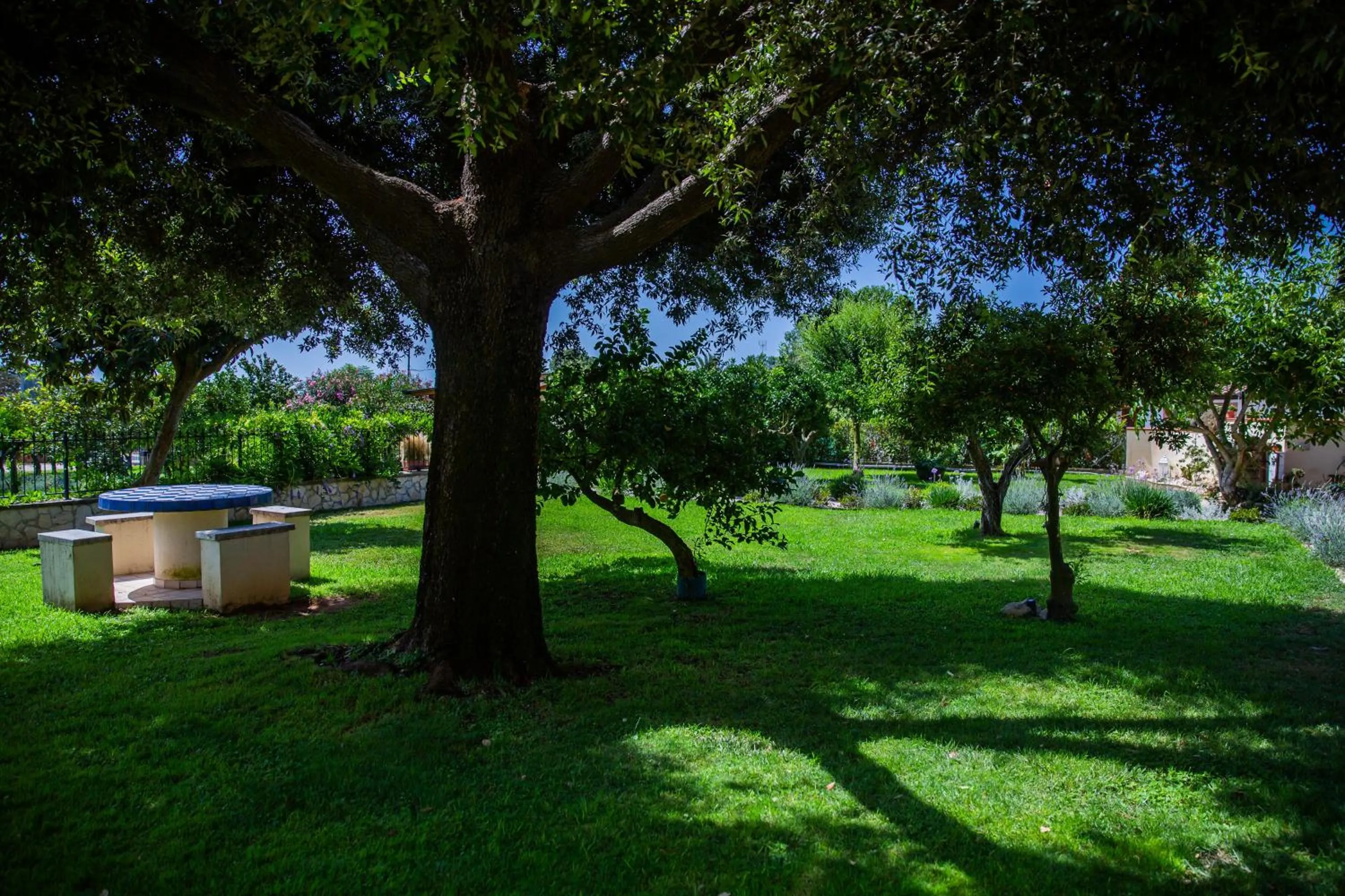 Garden in I Lecci Guesthouse