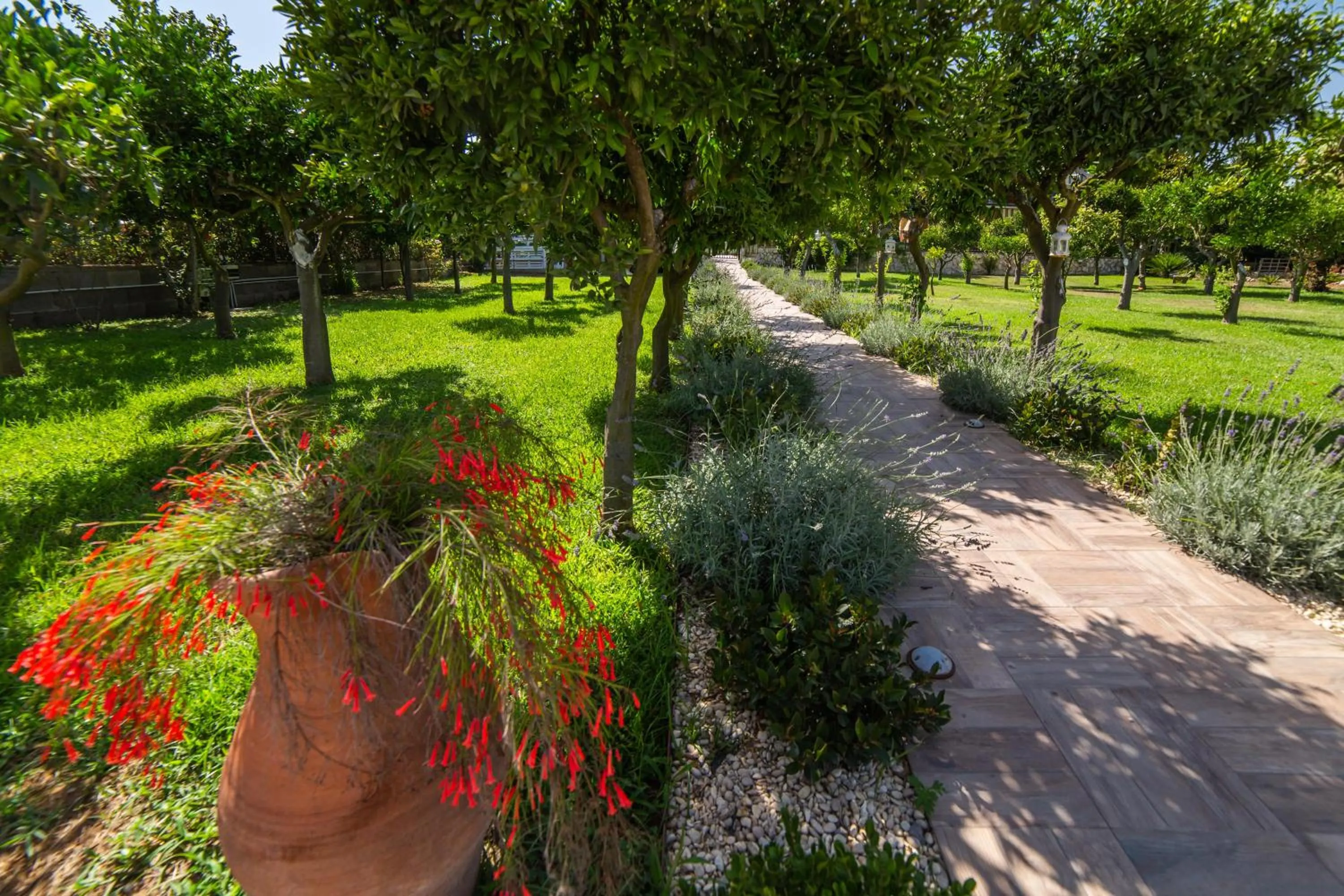 Garden in I Lecci Guesthouse