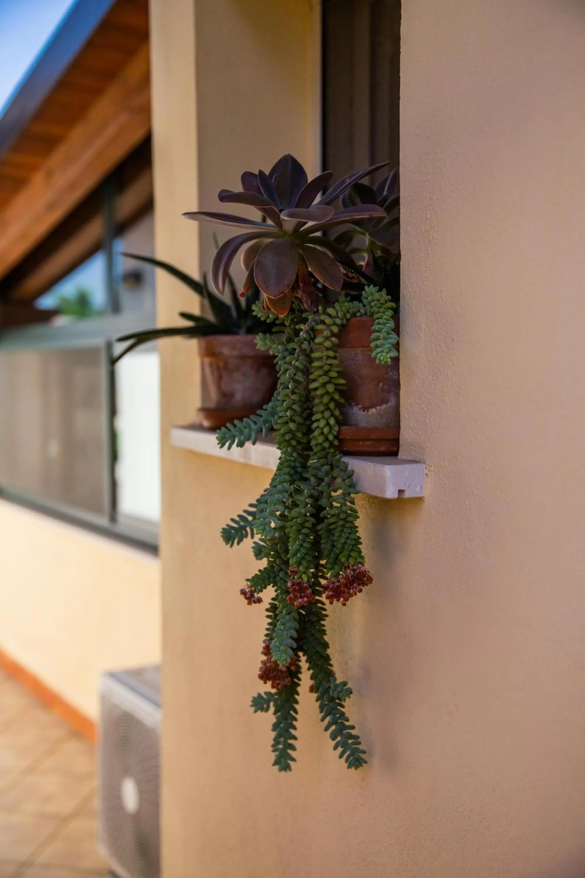 hair dresser in I Lecci Guesthouse