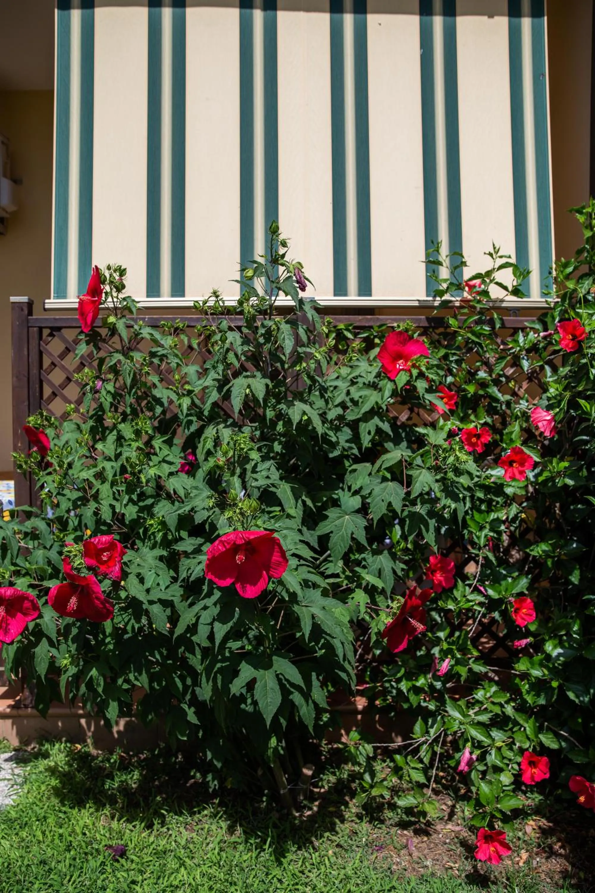 Patio in I Lecci Guesthouse