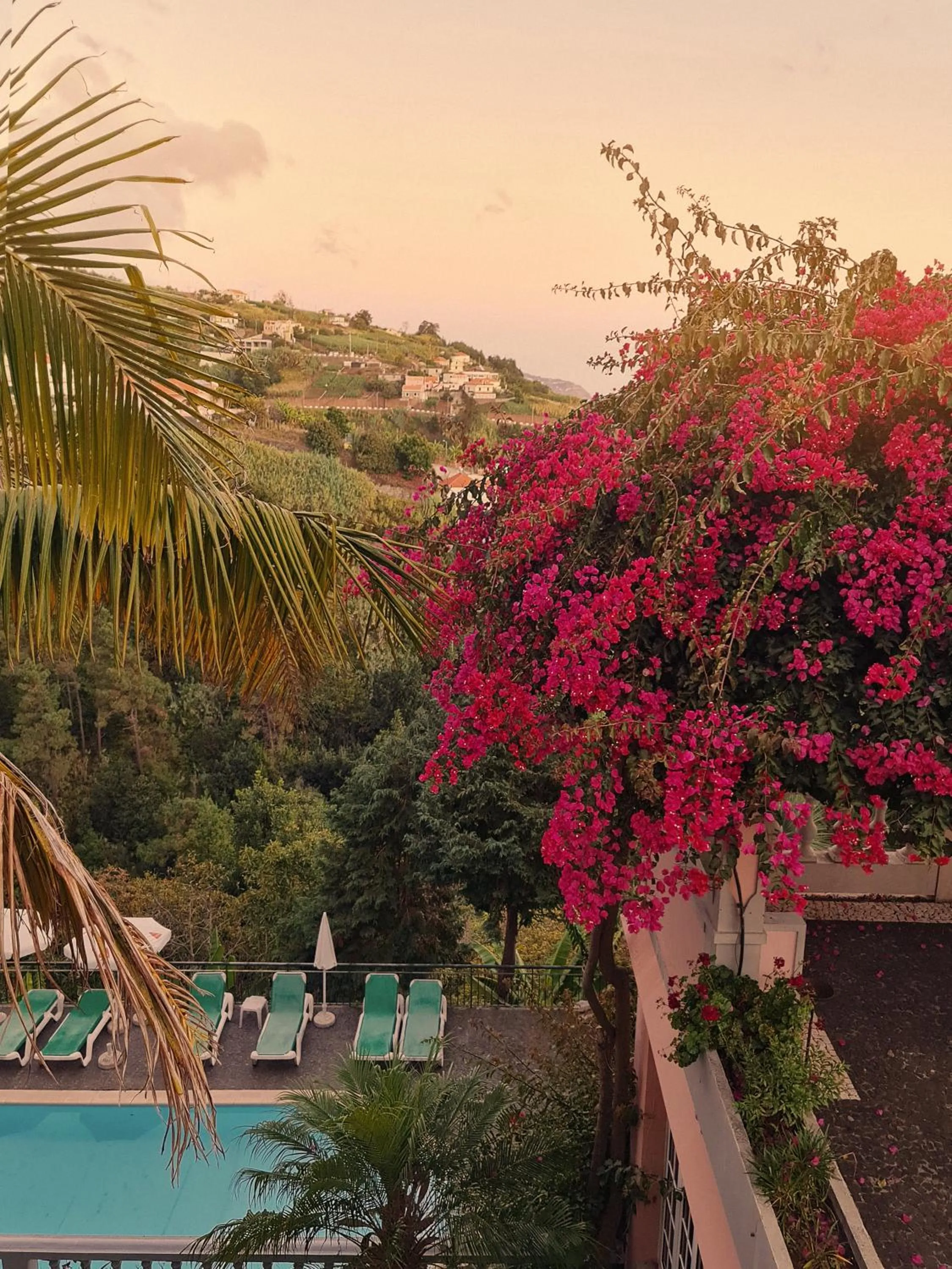 Pool view in Villa Alto Boutique Hotel