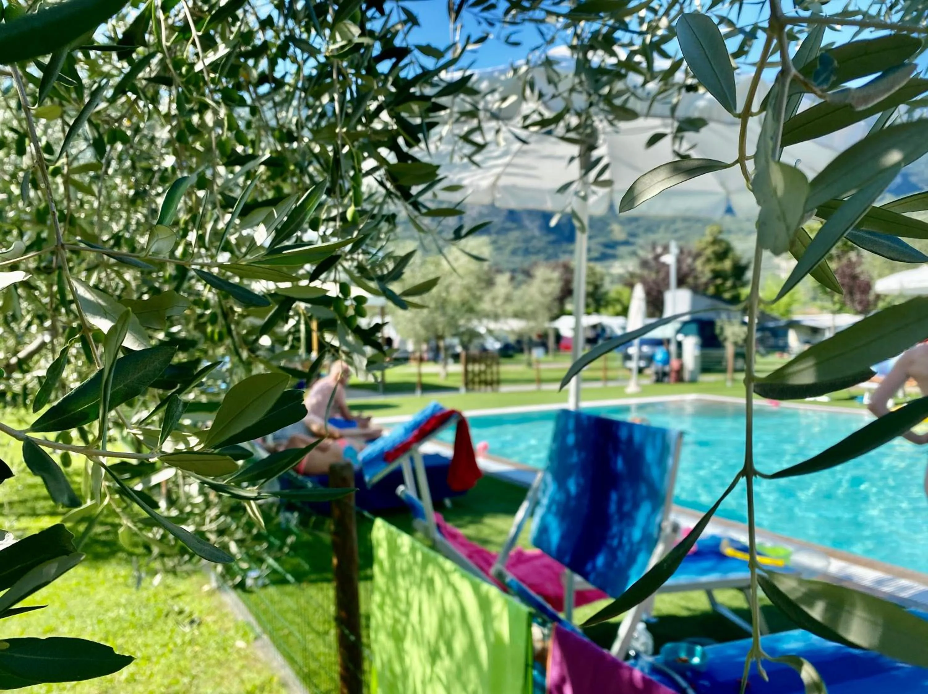 Garden in AB&C Arco Bed And Camping