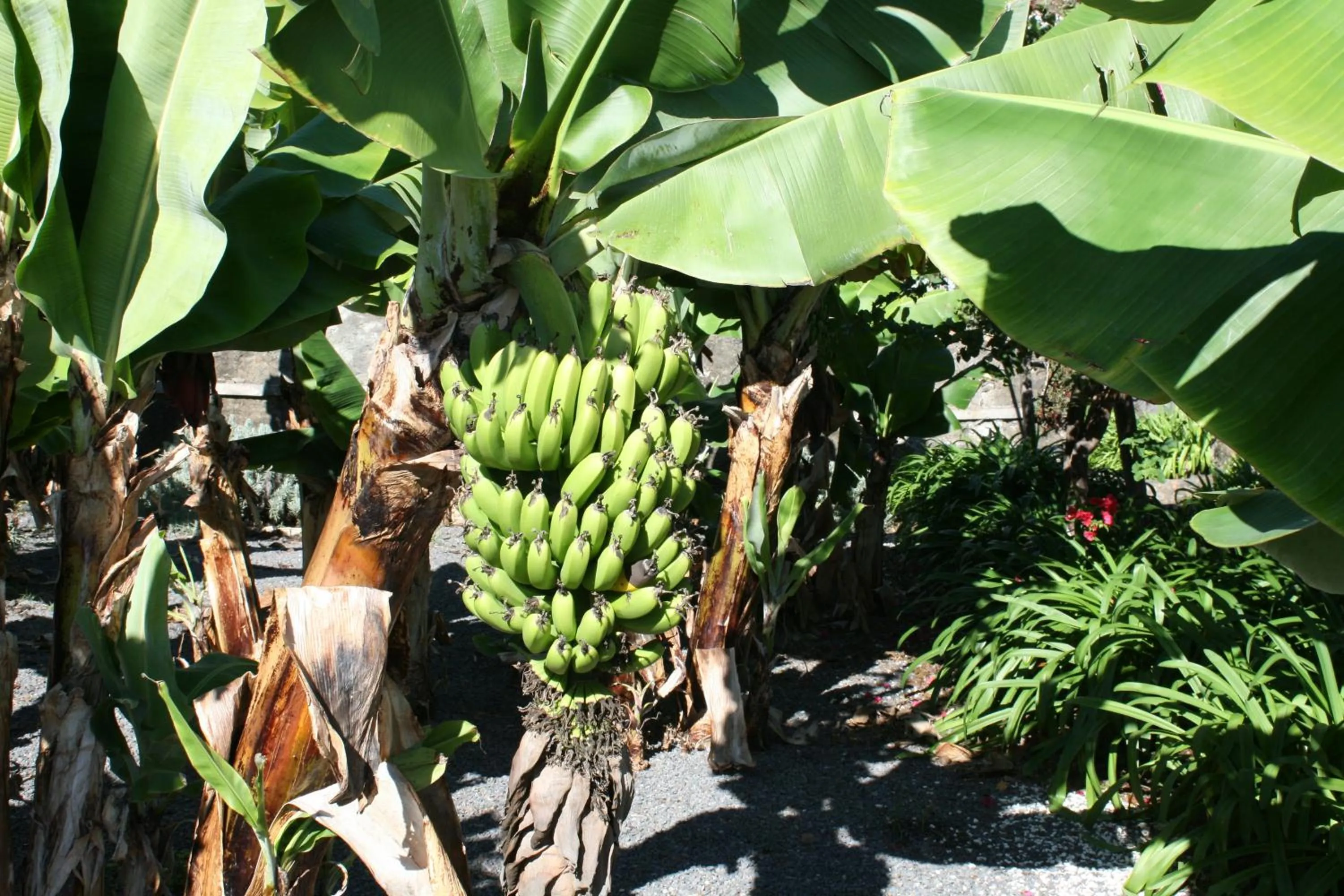 Other in Apartamentos Quinta Mae dos Homens