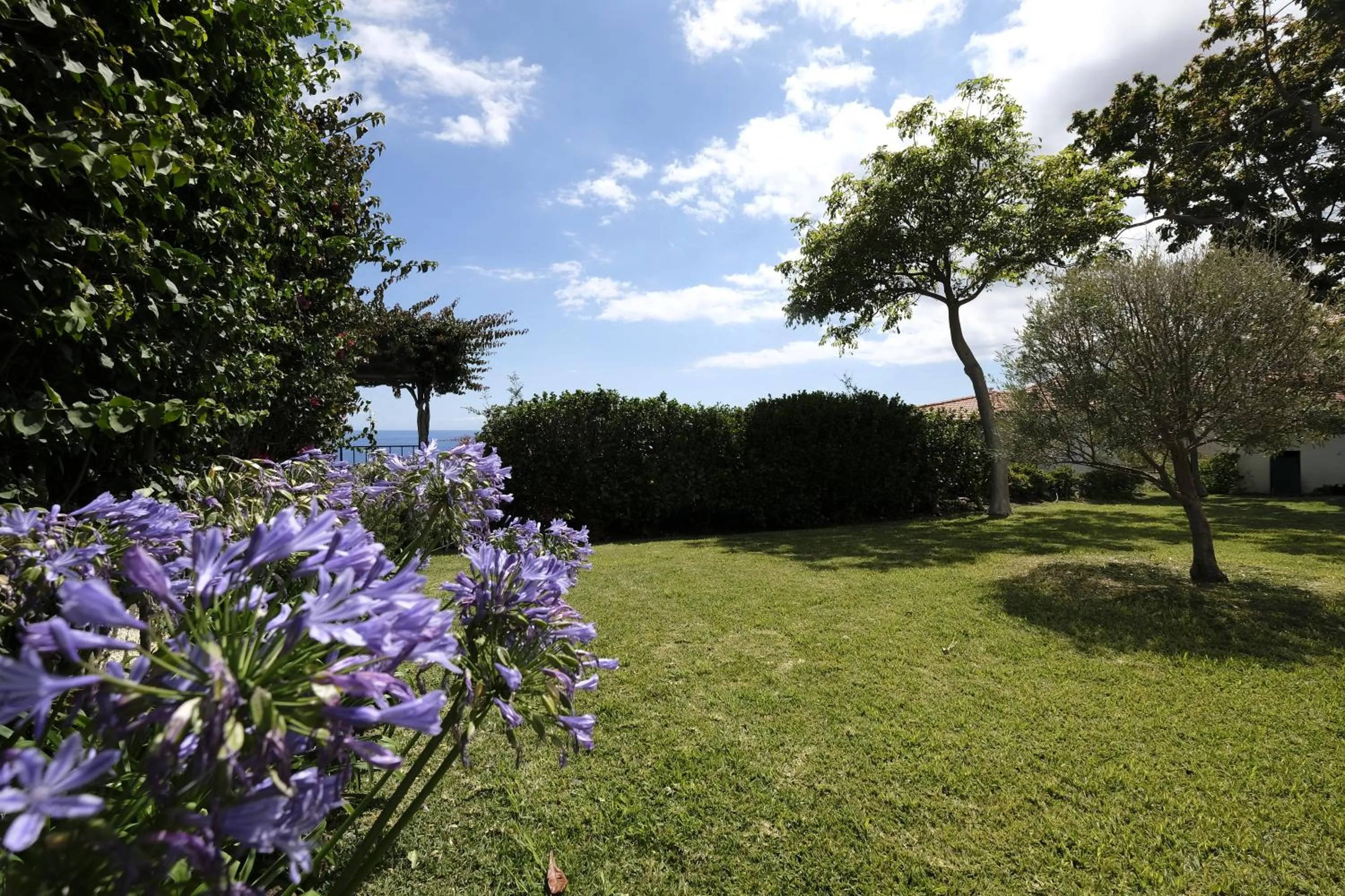 Garden in Apartamentos Quinta Mae dos Homens