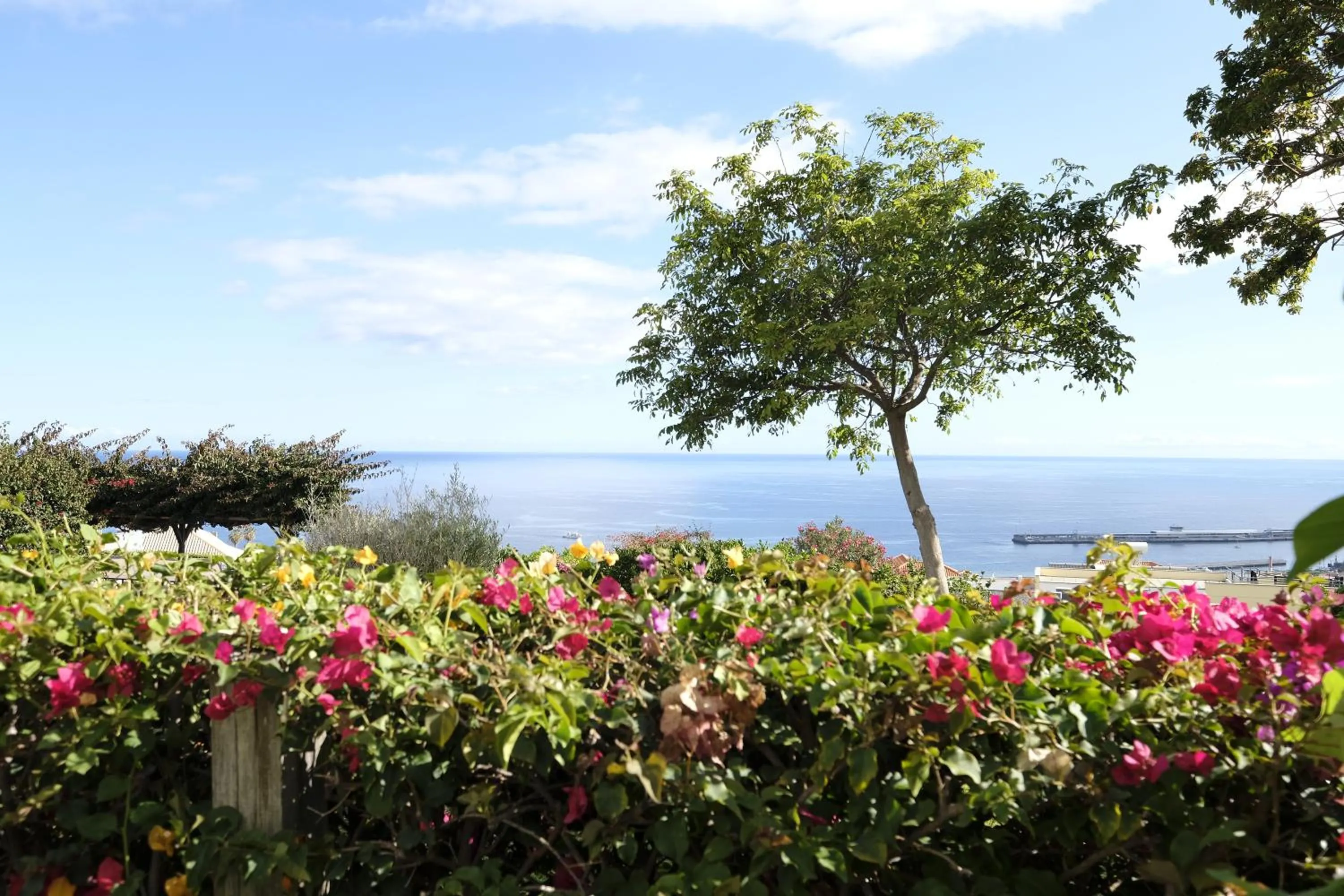 Garden in Apartamentos Quinta Mae dos Homens