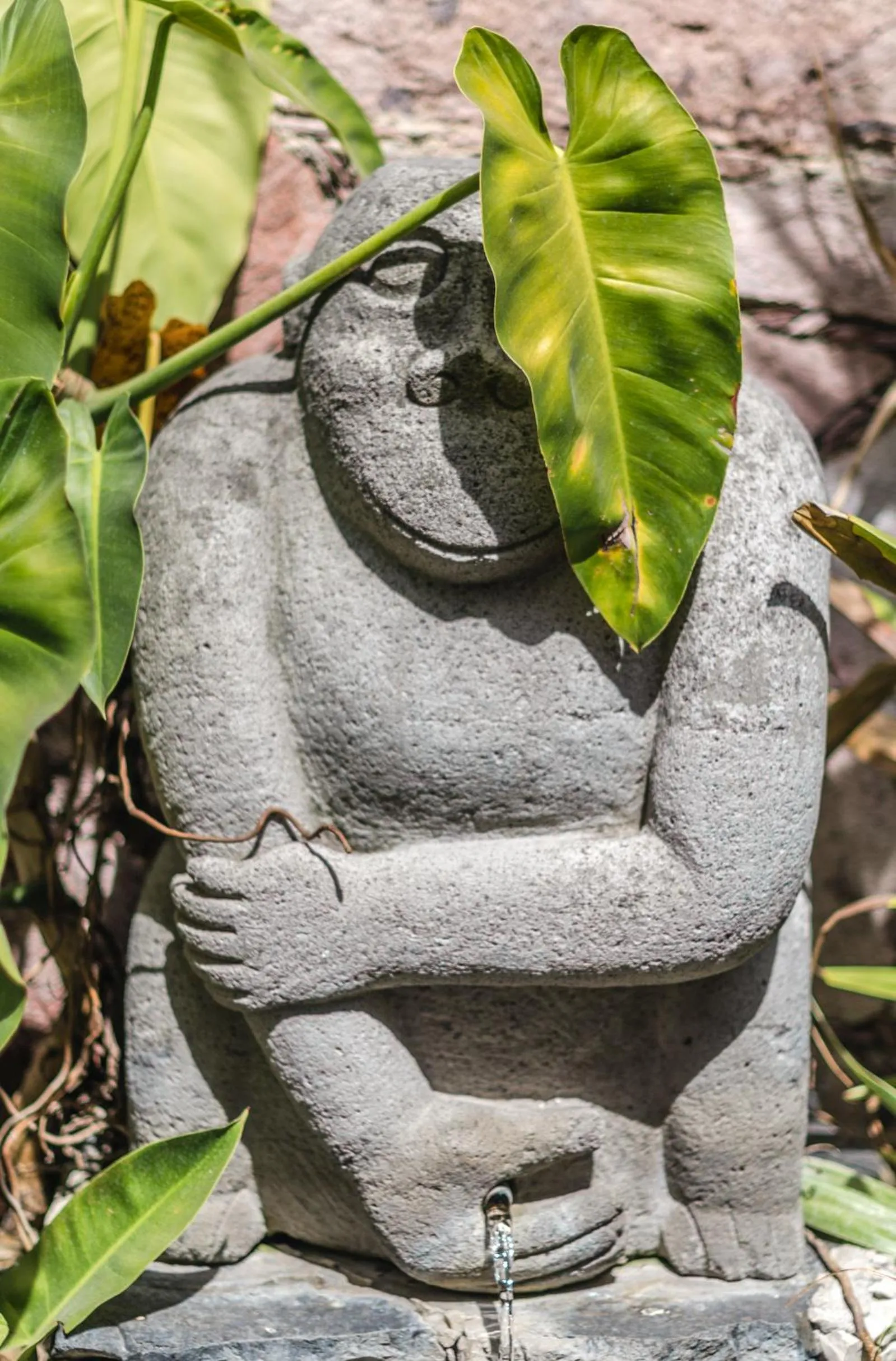 Garden in Hotel los Arcos
