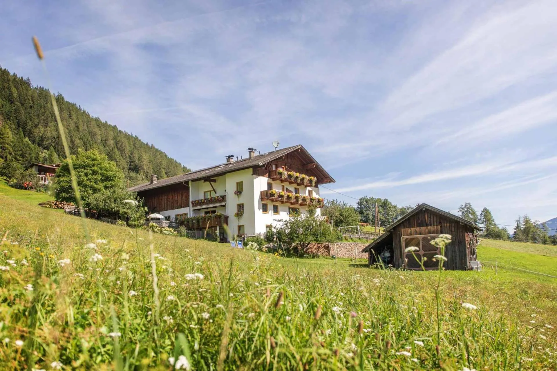 Property building in Omesbergerhof