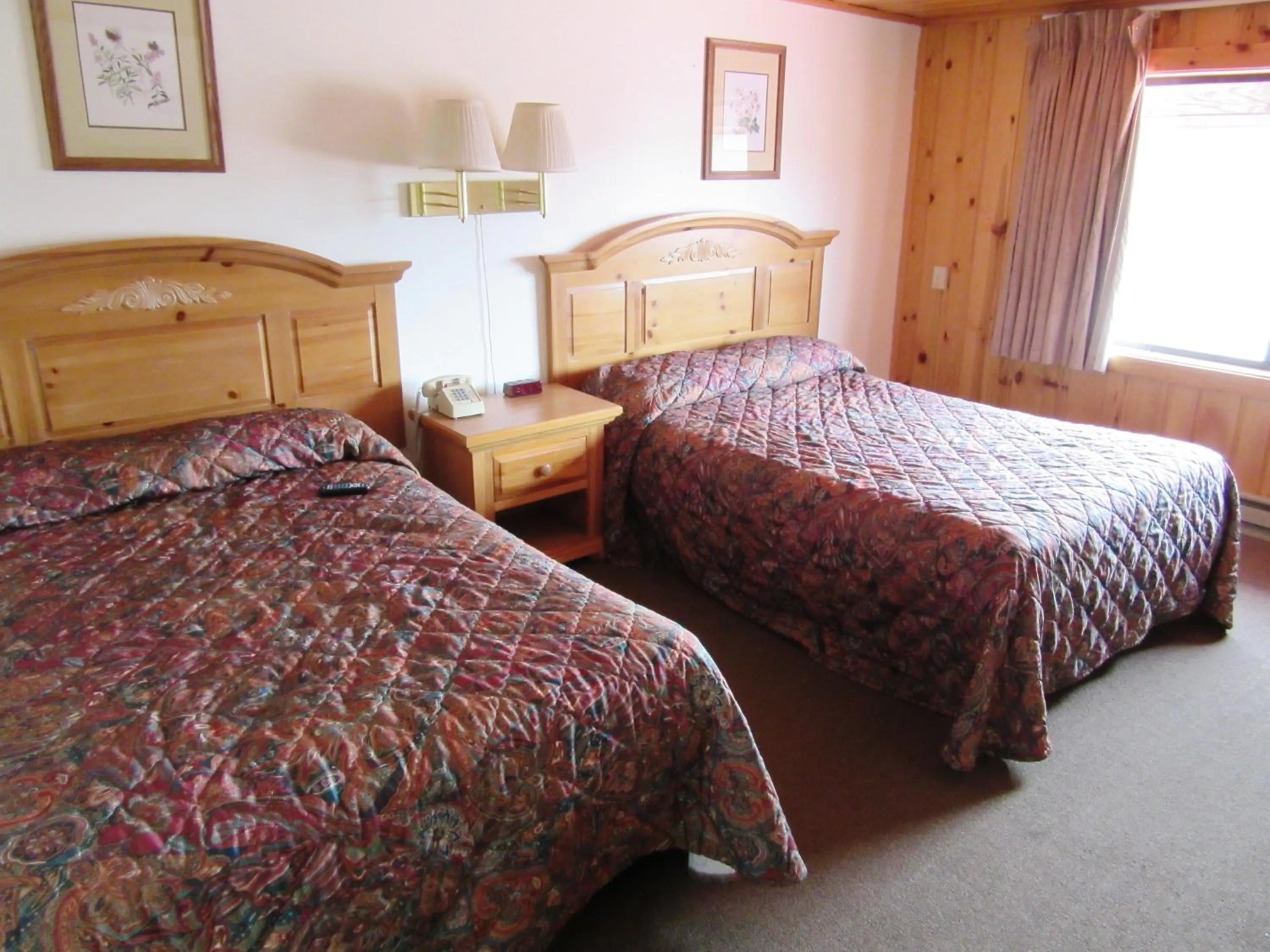 Photo of the whole room, Bed in Travelers Lodge