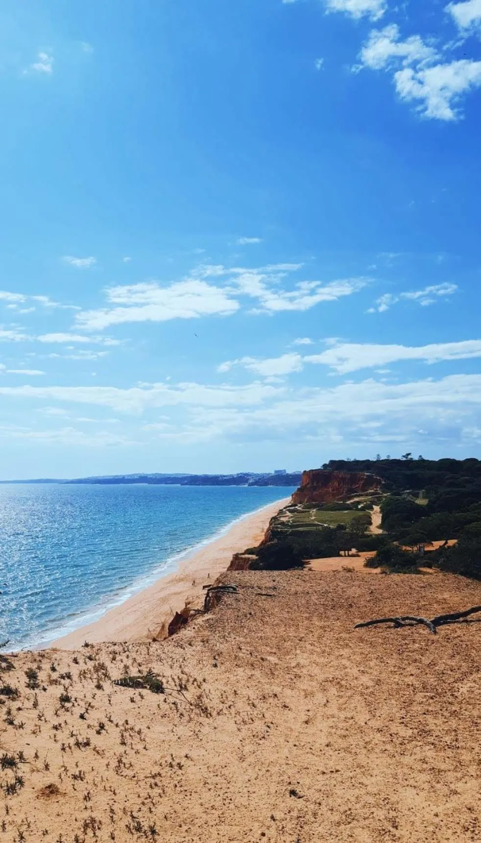 Natural landscape in Falésia Hotel - Adults Only