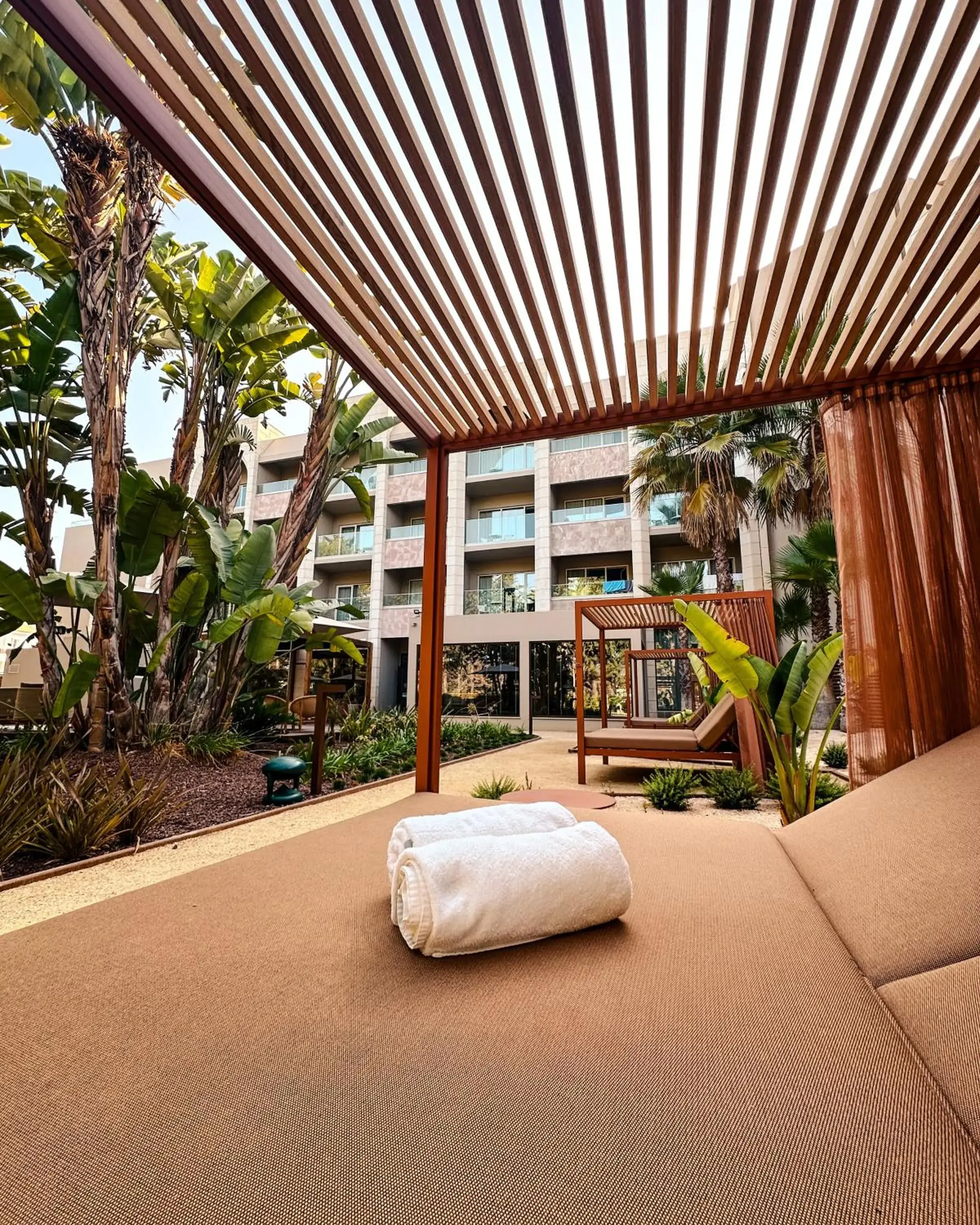 sunbed in Falésia Hotel - Adults Only sunbed in Falésia Hotel - Adults Only