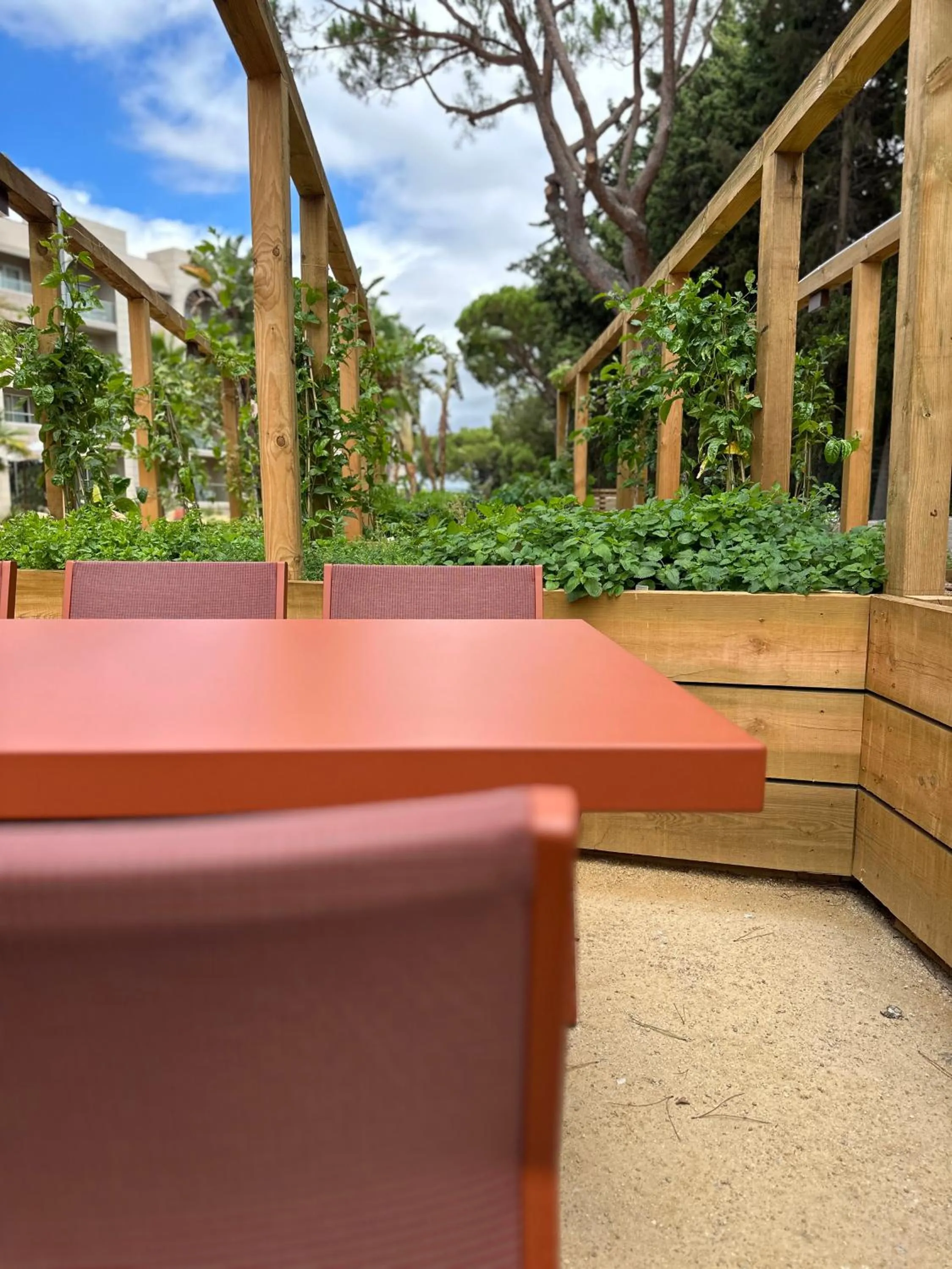 Garden in Falésia Hotel - Adults Only