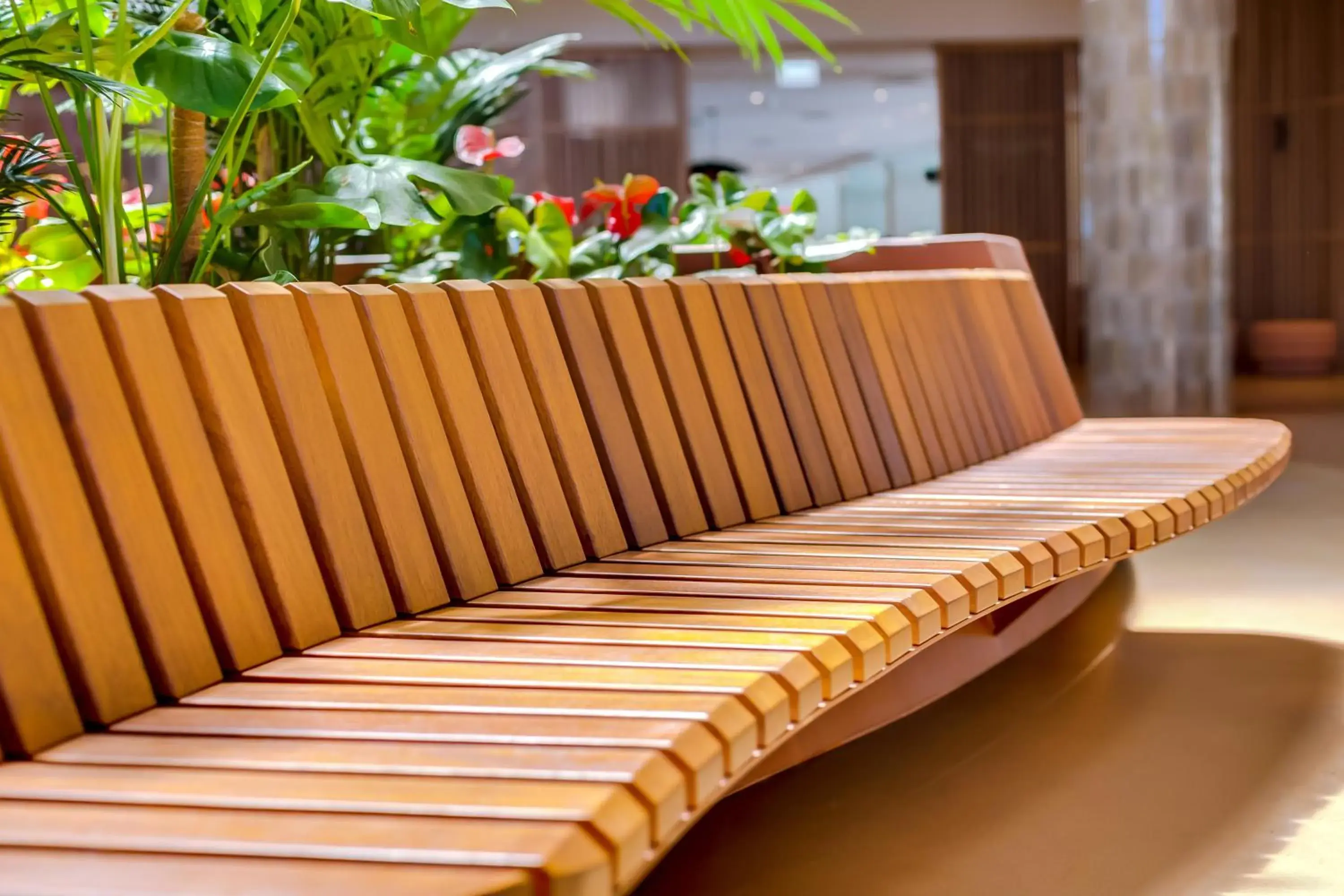 Facade/entrance in Falésia Hotel - Adults Only Facade/entrance in Falésia Hotel - Adults Only