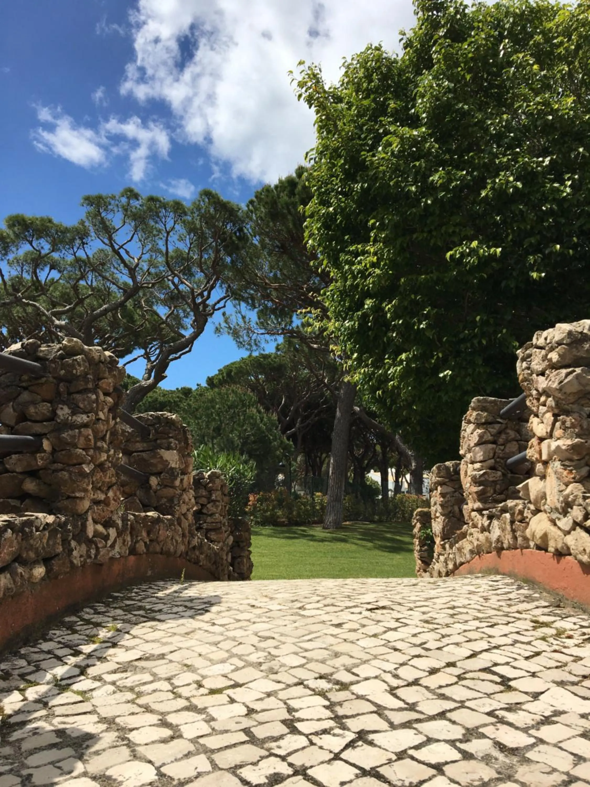 Natural landscape in Falésia Hotel - Adults Only