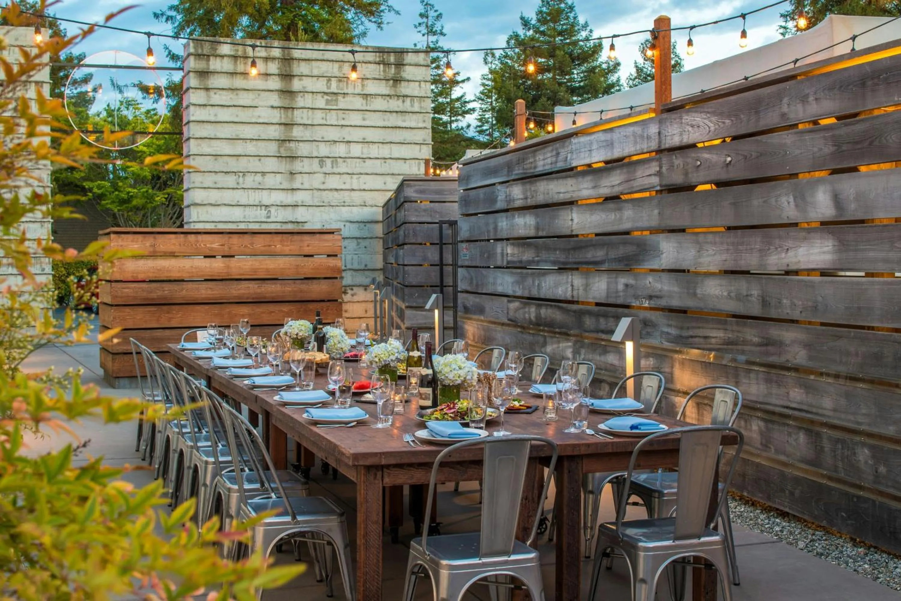 Restaurant/places to eat in Hotel Paradox, Autograph Collection