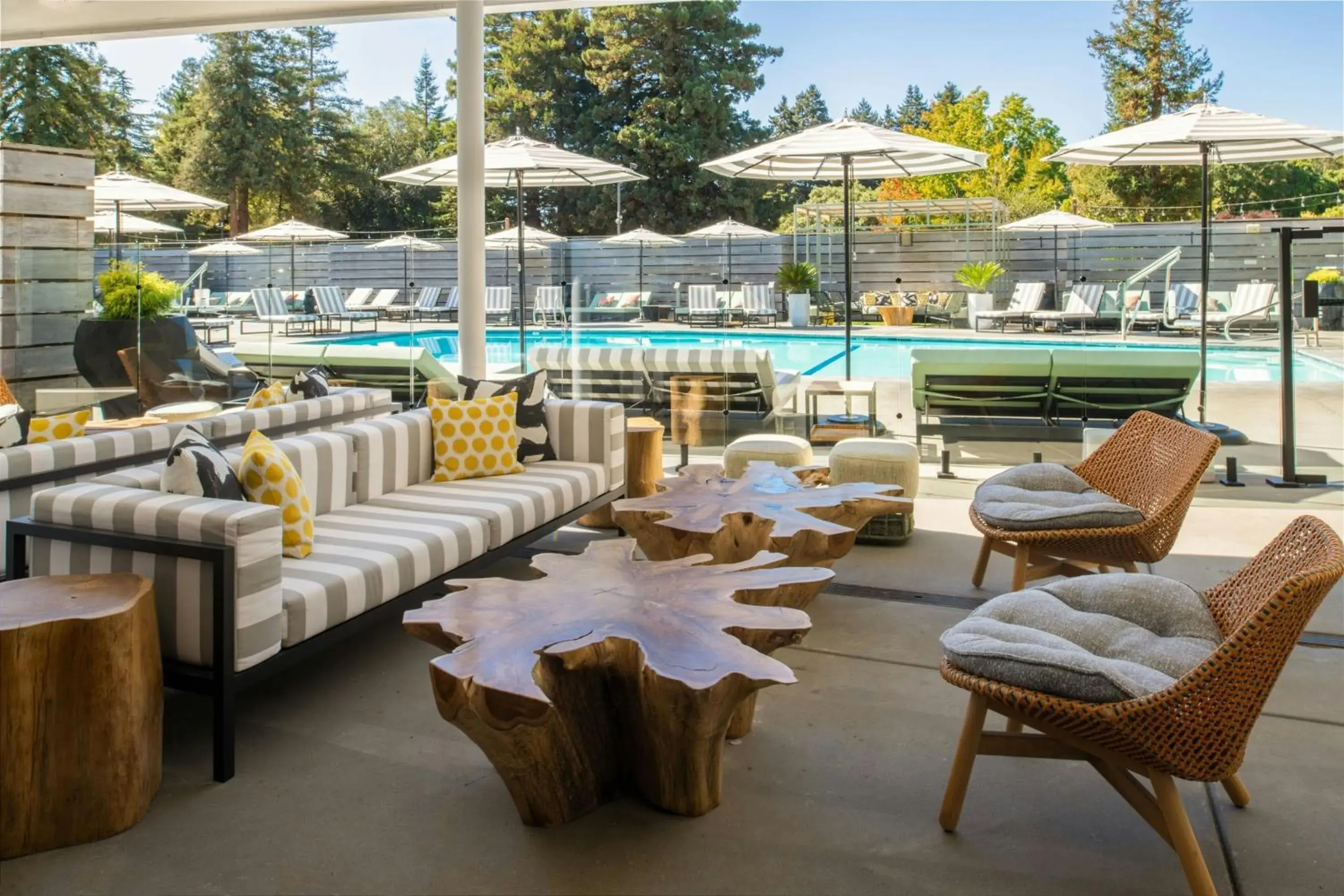 Swimming pool in Hotel Paradox, Autograph Collection Swimming pool in Hotel Paradox, Autograph Collection