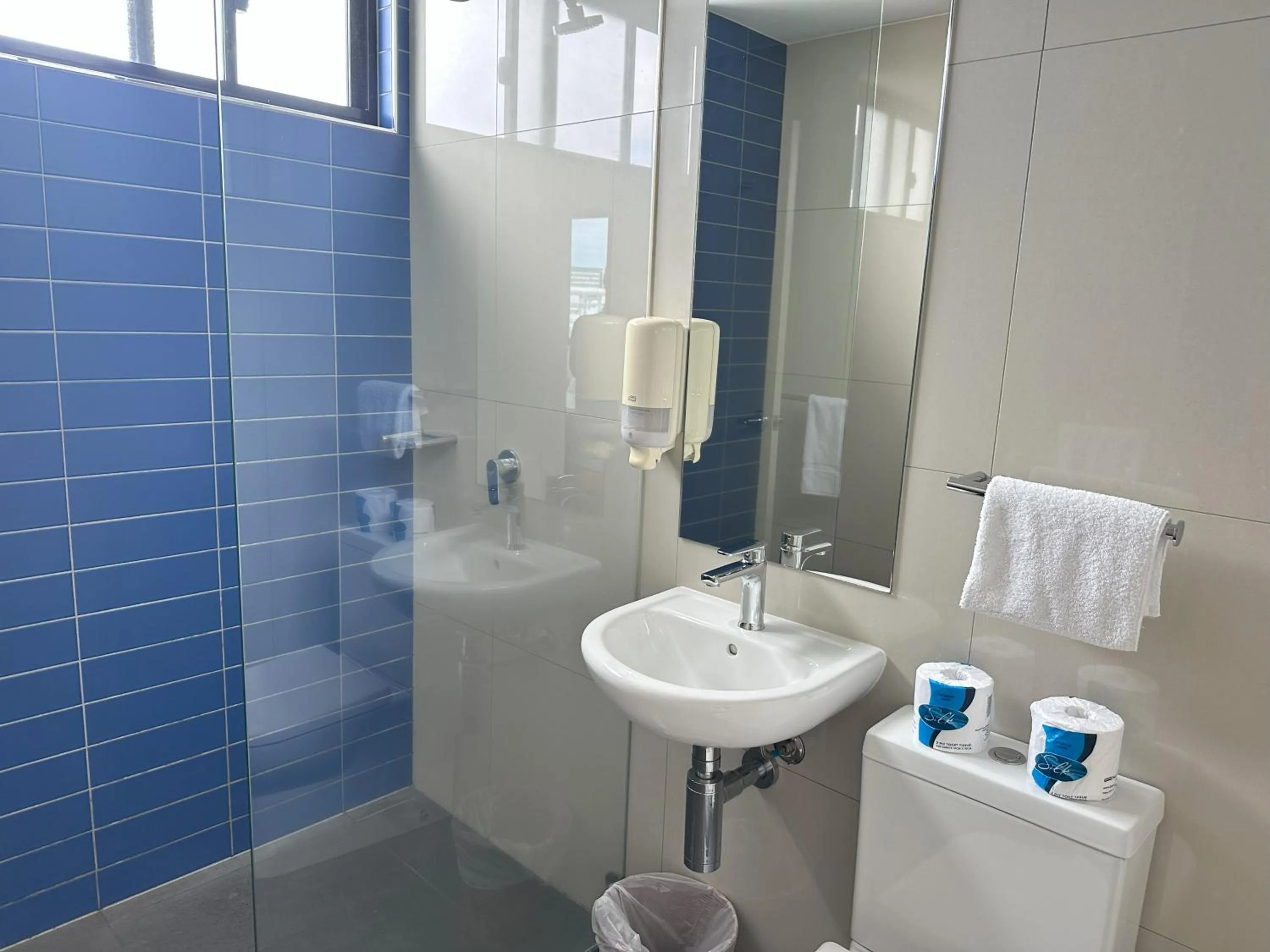 Toilet in Global Backpackers Youth Hostel