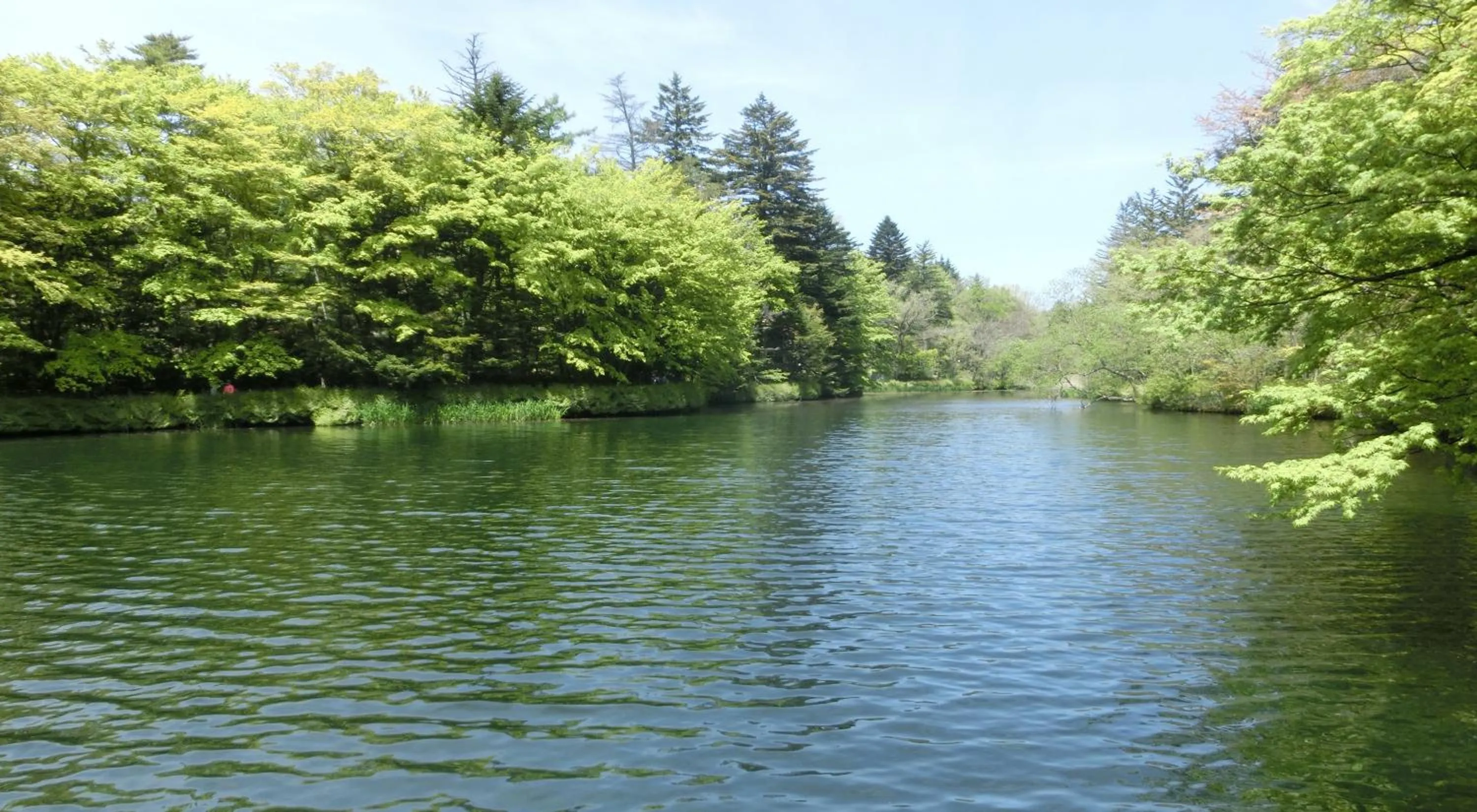 Natural landscape in Hotel Cypress Karuizawa