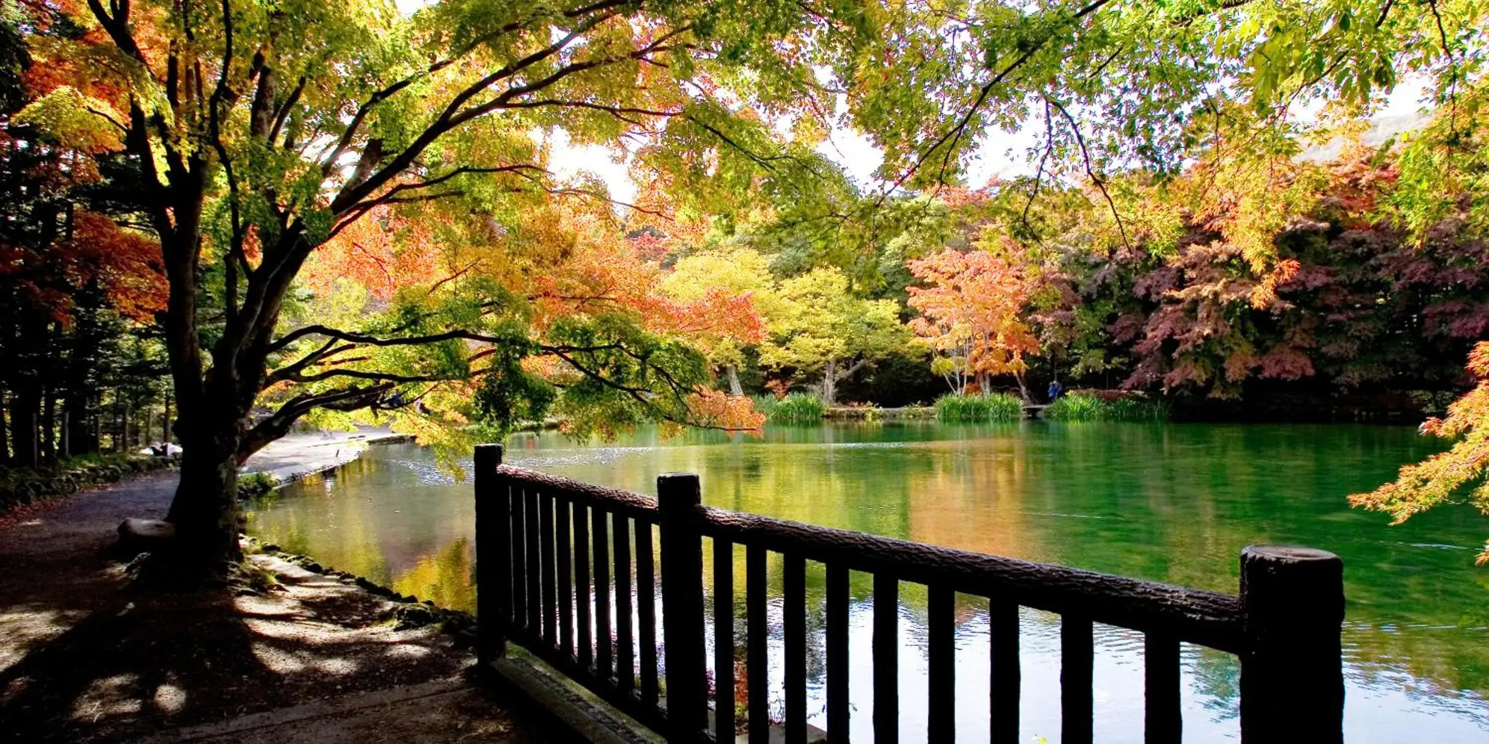 Lake view in Hotel Cypress Karuizawa Lake view in Hotel Cypress Karuizawa