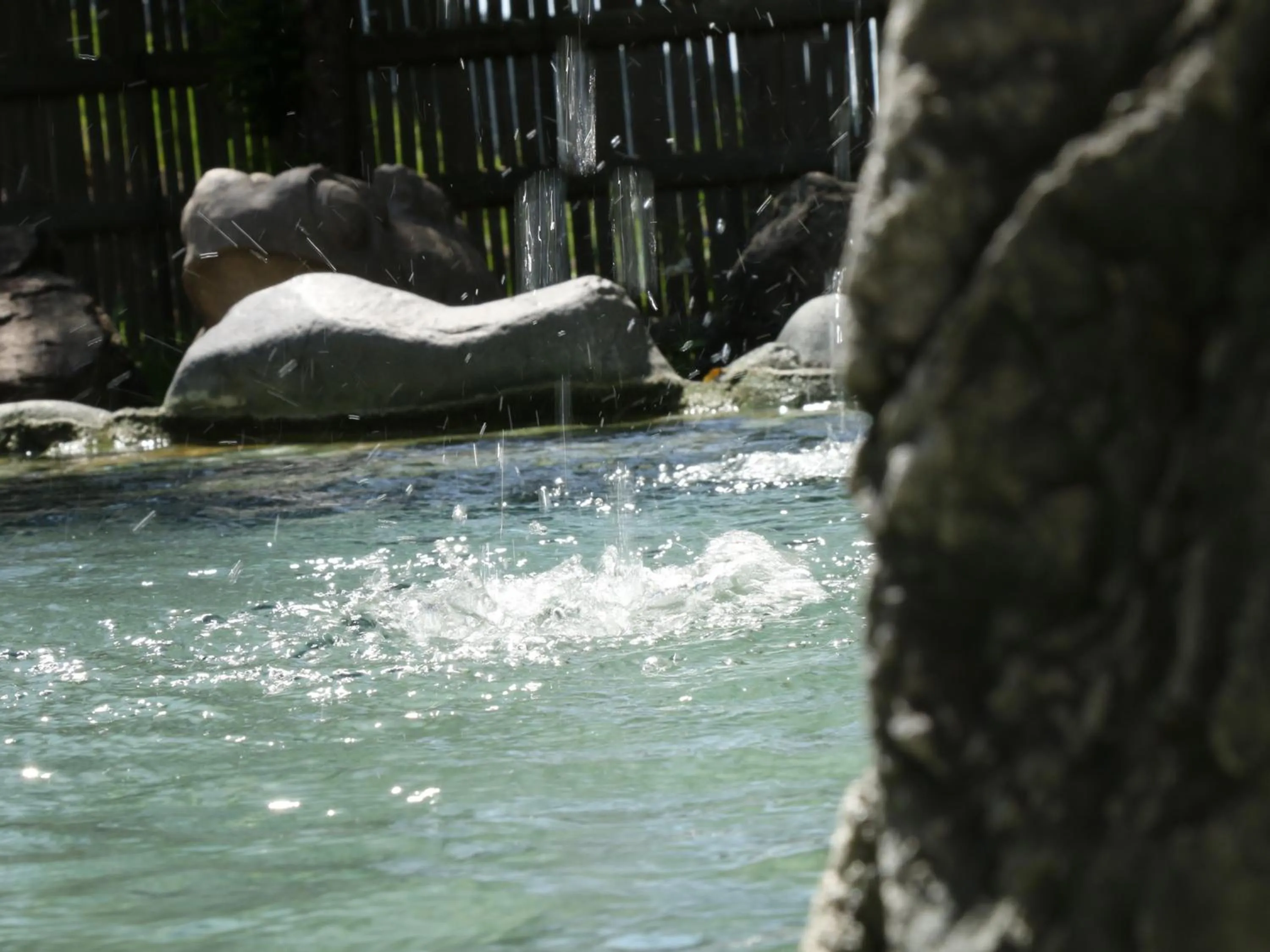 Hot Spring Bath in Minshuku Miyama