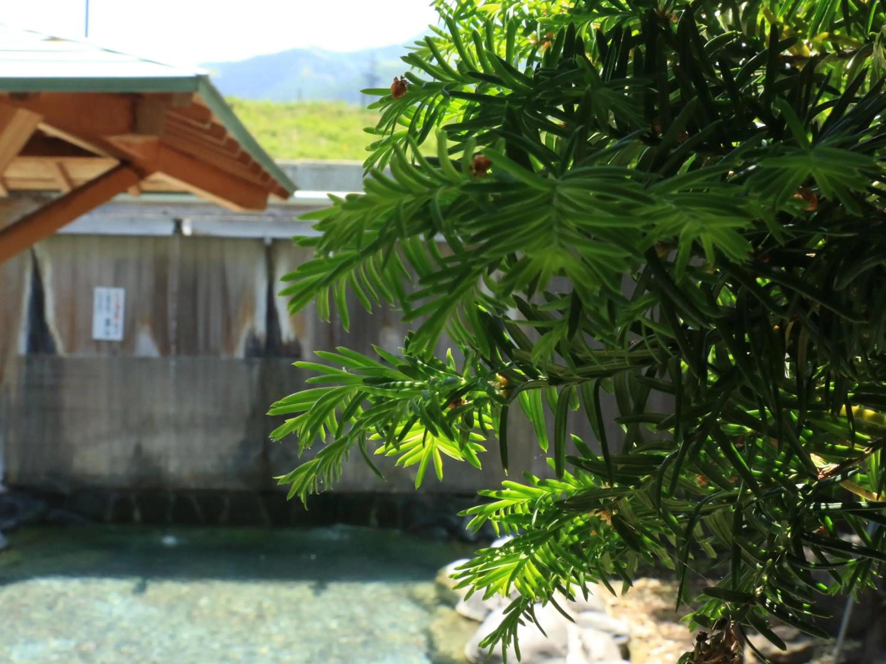 Hot Spring Bath in Minshuku Miyama