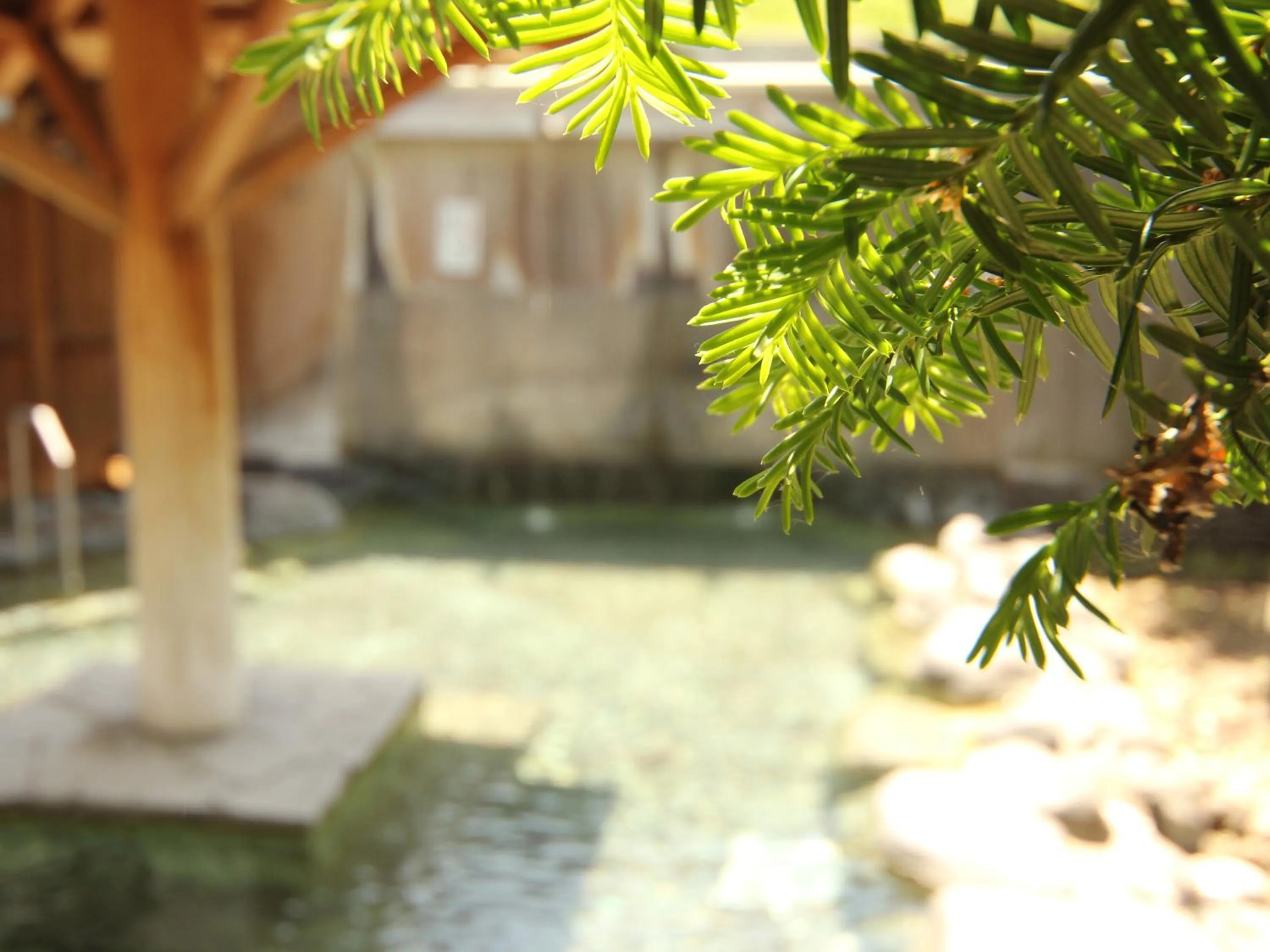 Hot Spring Bath in Minshuku Miyama