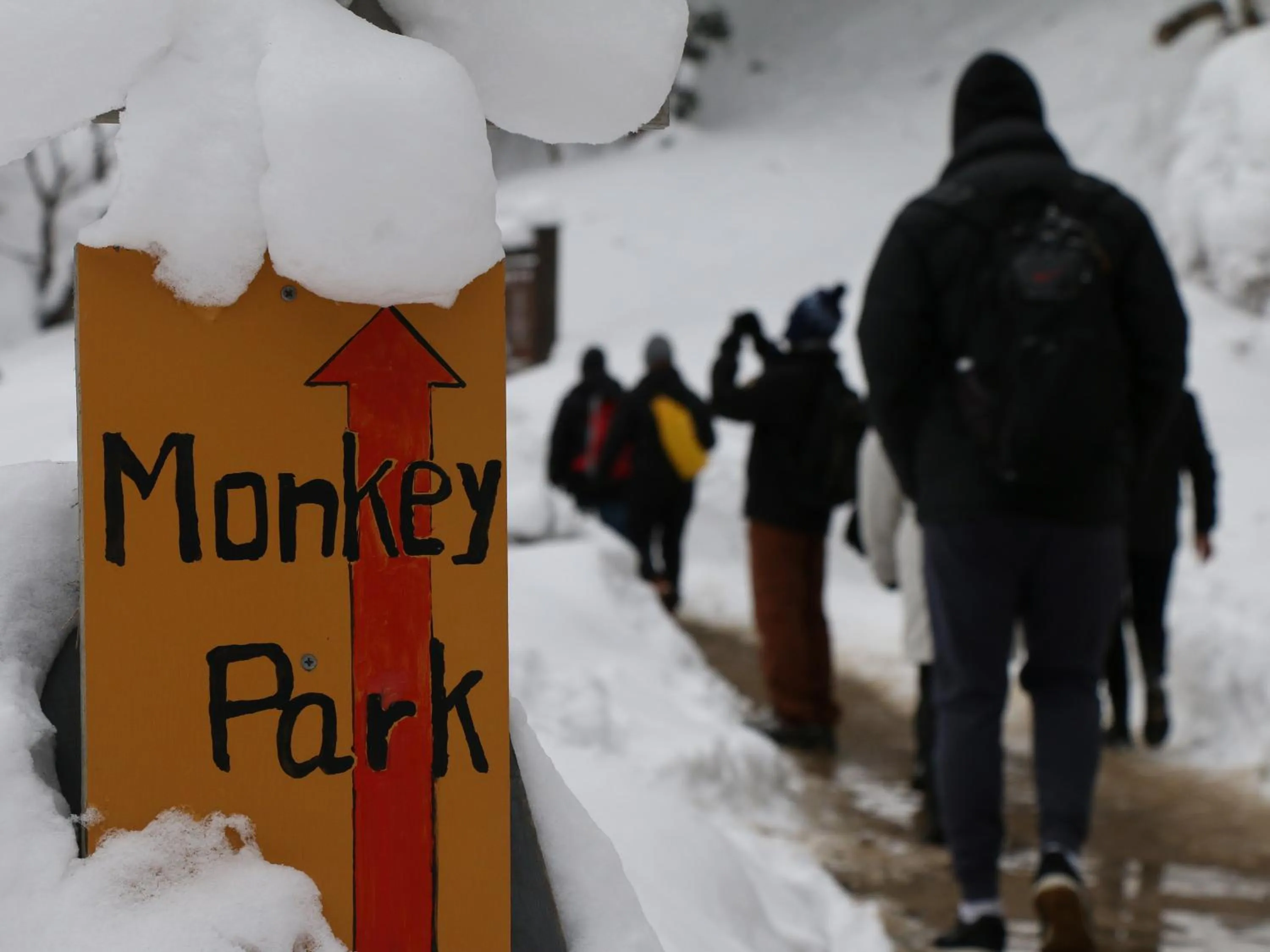Nearby landmark in Minshuku Miyama