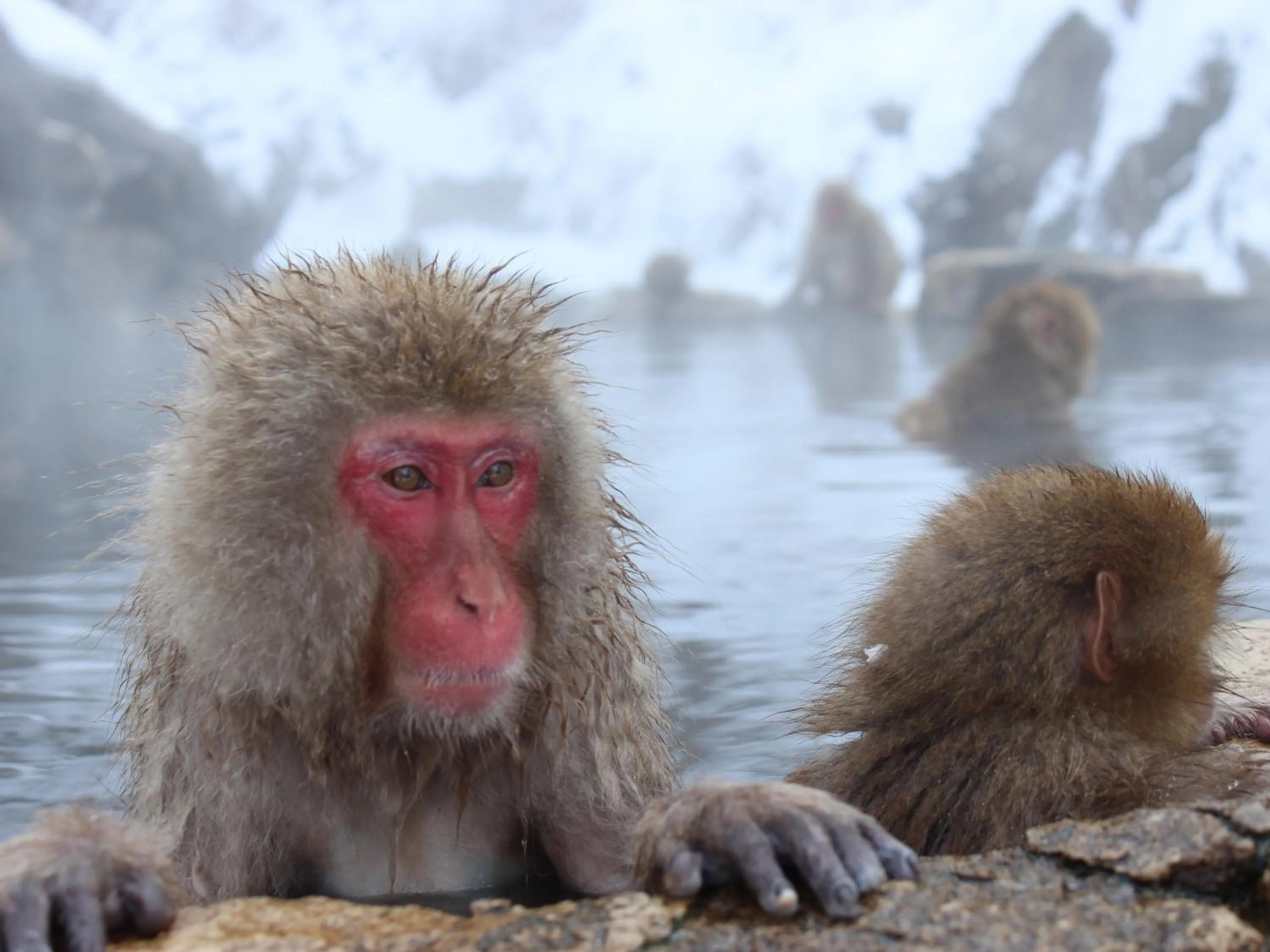 Nearby landmark in Minshuku Miyama