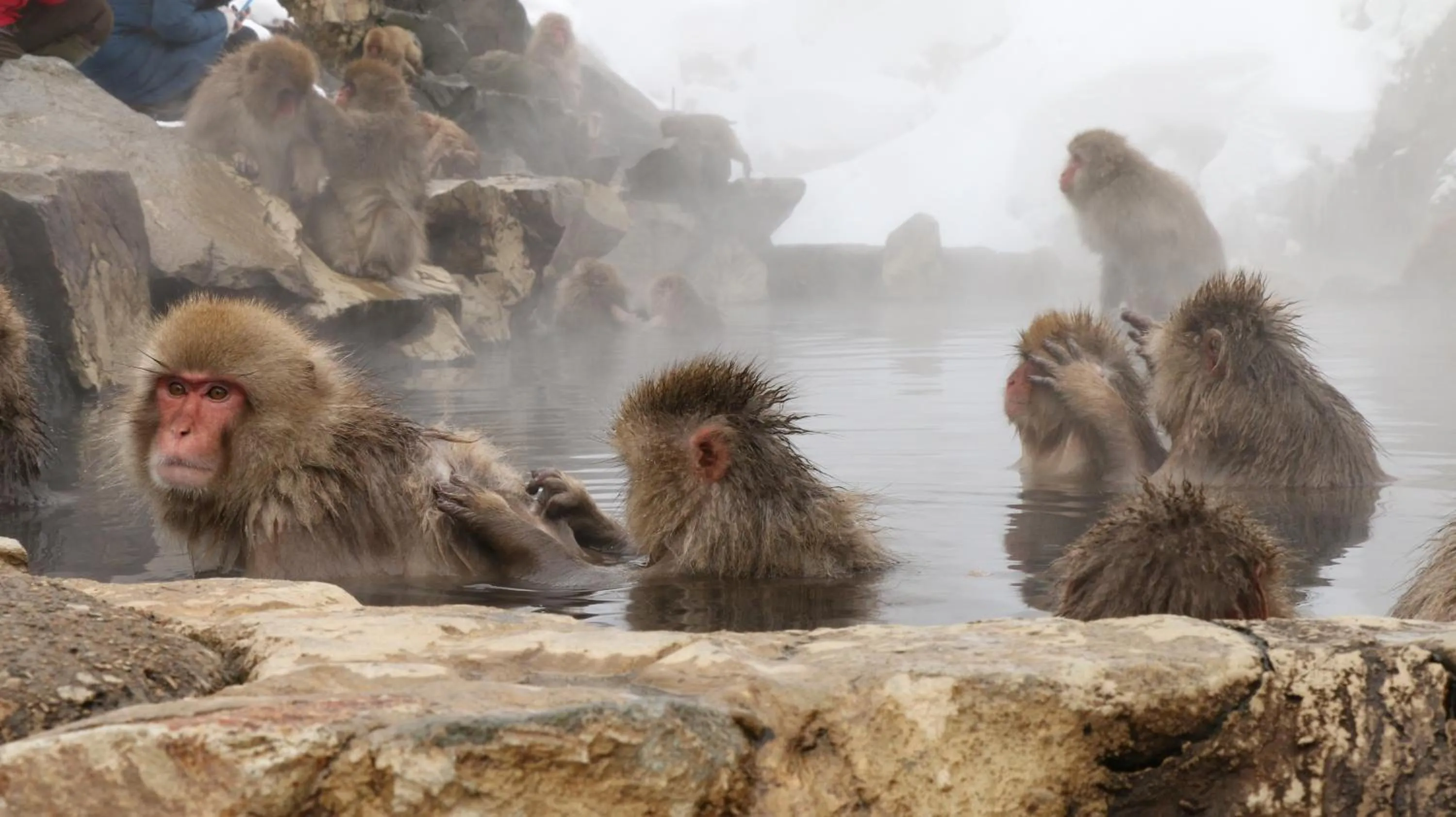Nearby landmark in Minshuku Miyama