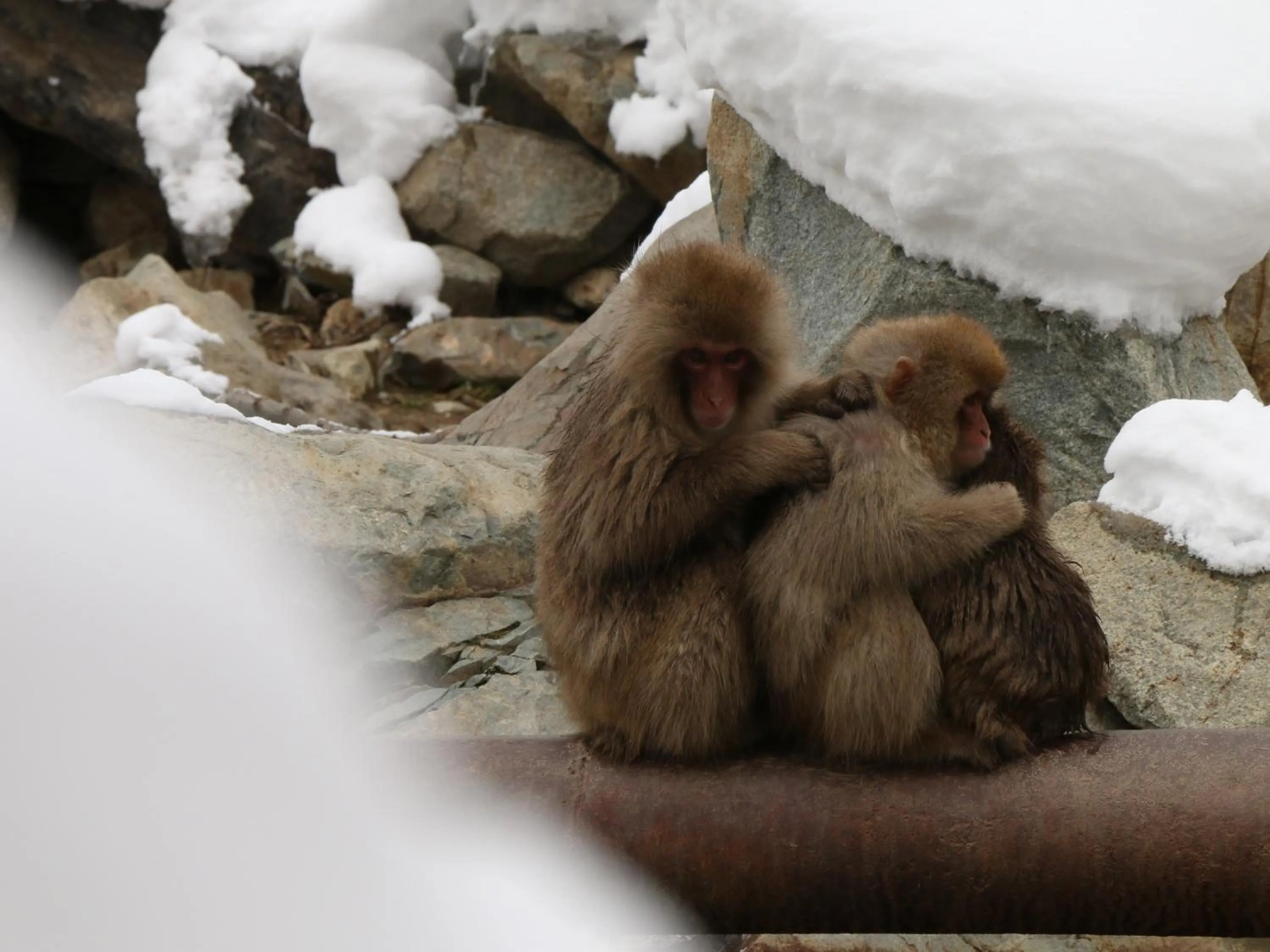 Nearby landmark in Minshuku Miyama
