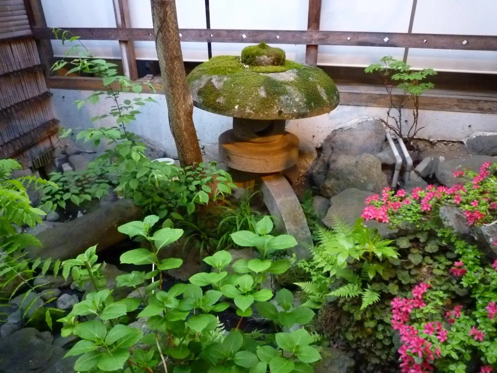 Garden in Yudanaka Tawaraya Ryokan