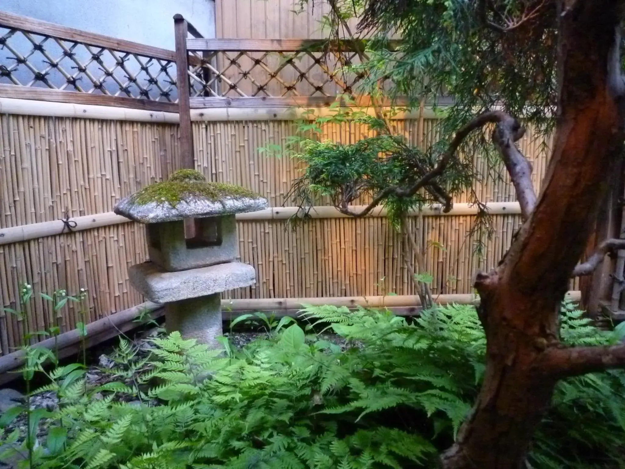 Garden in Yudanaka Tawaraya Ryokan