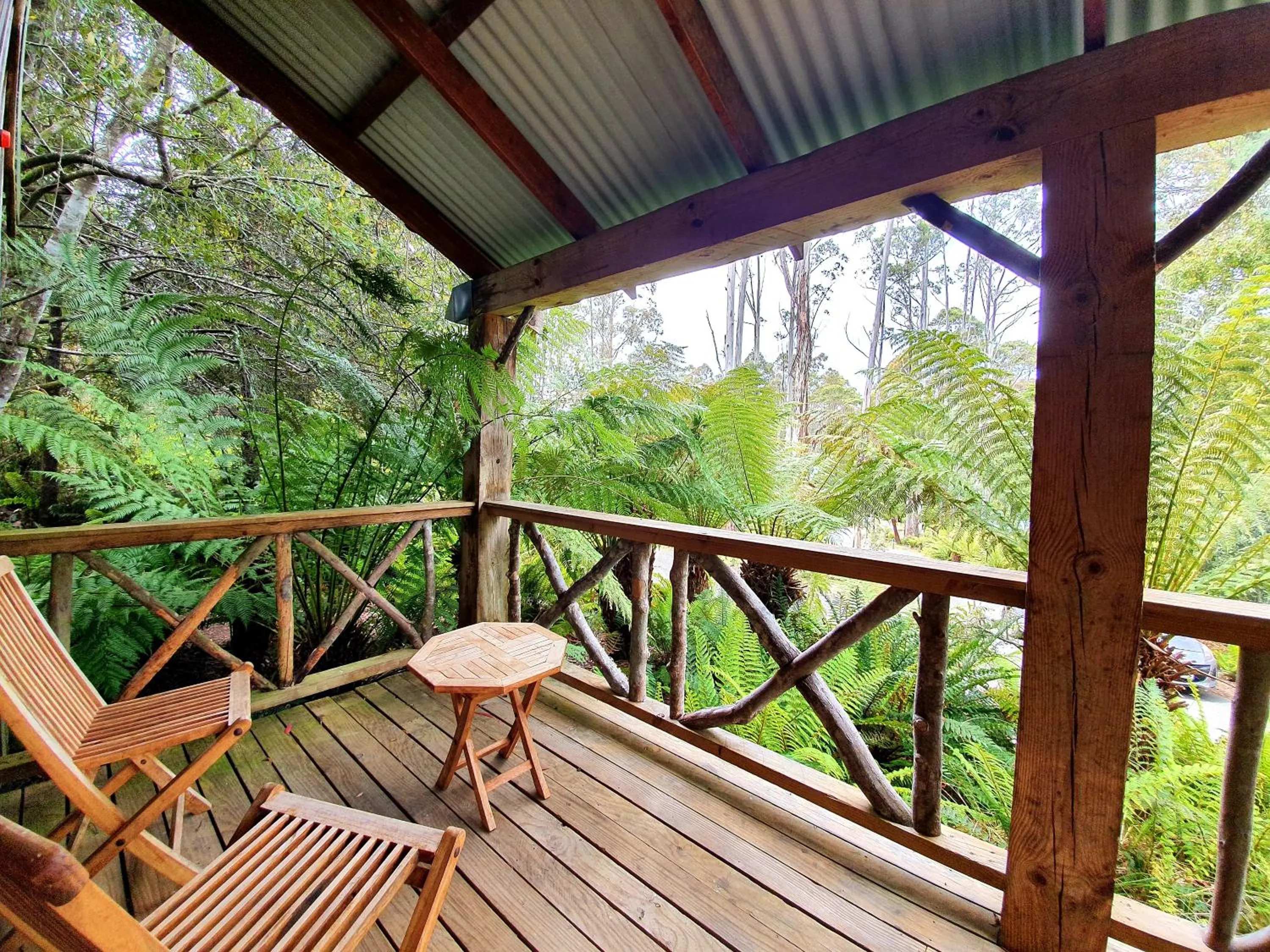 Garden view in Lemonthyme Wilderness Retreat