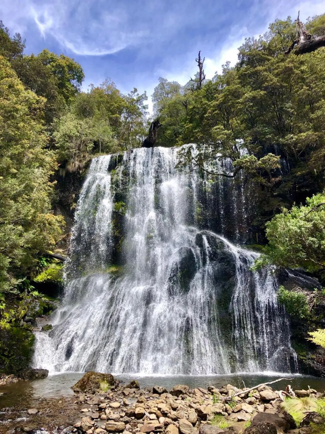 Natural landscape in Lemonthyme Wilderness Retreat