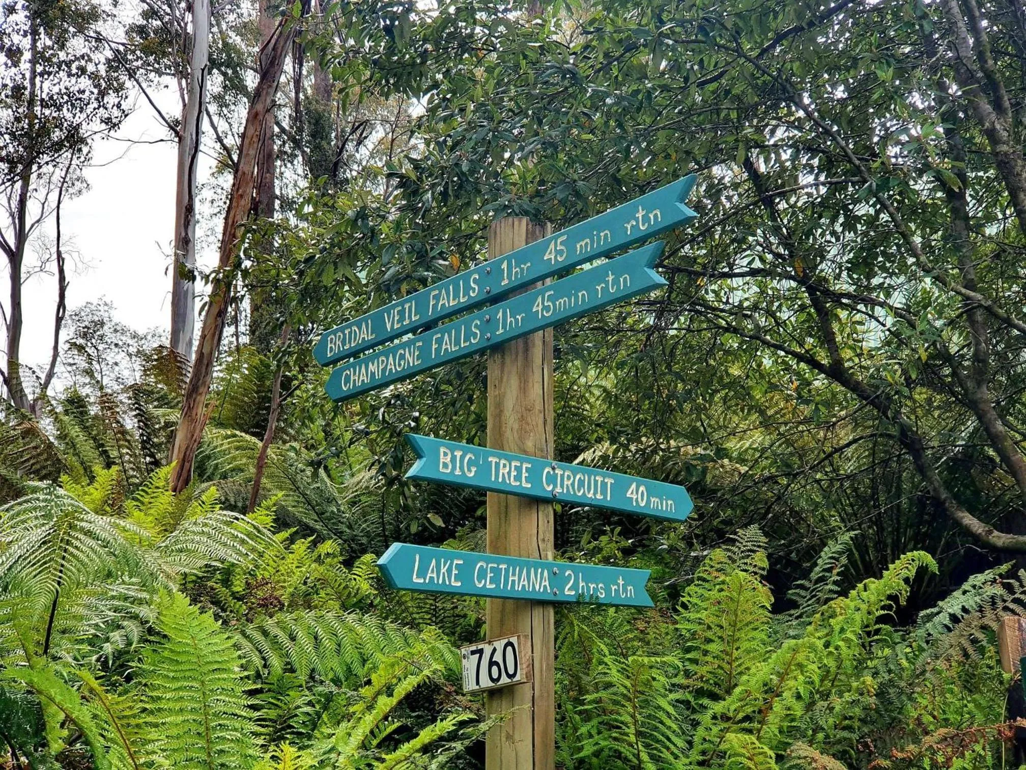 Hiking in Lemonthyme Wilderness Retreat